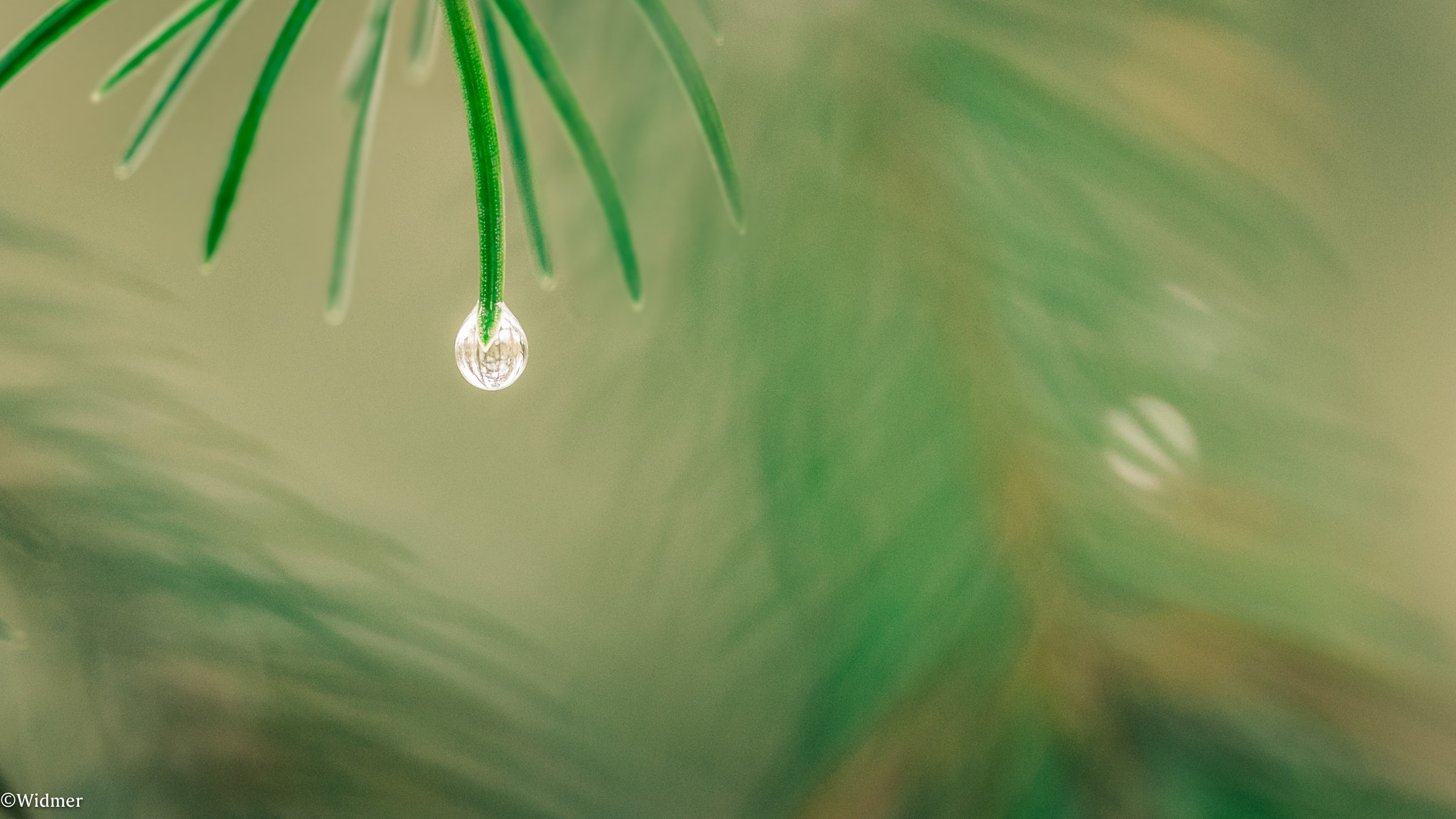Sony a7 II sample photo. Drop of water photography