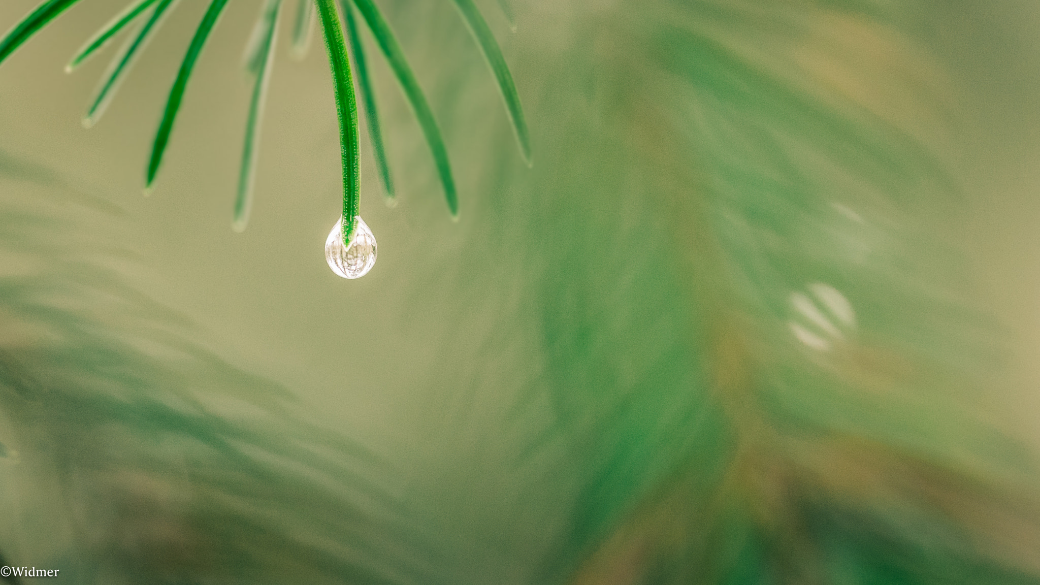 Canon EF 100mm F2.8L Macro IS USM sample photo. Drop of water photography