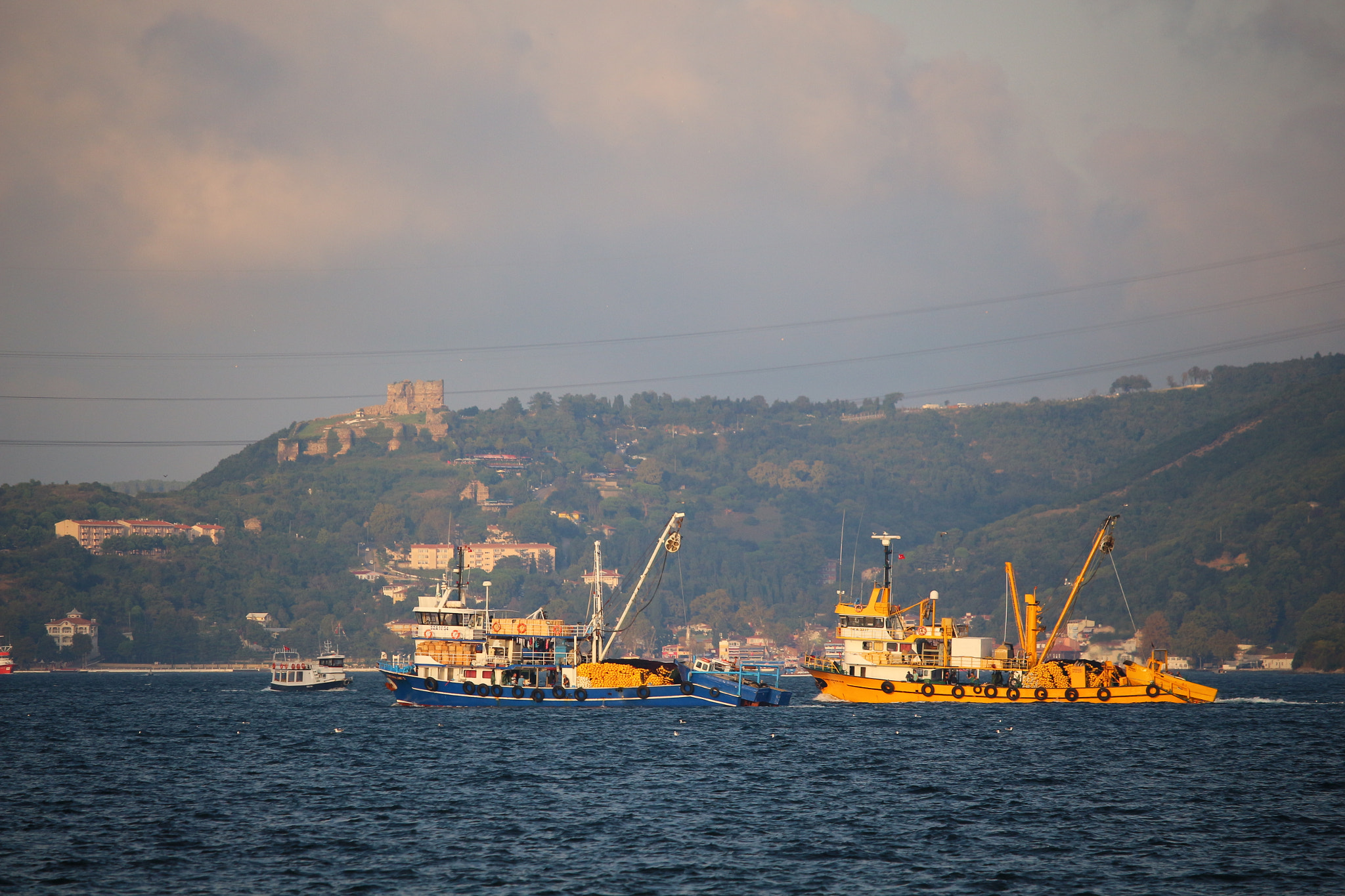 Canon EF-S 55-250mm F4-5.6 IS STM sample photo. 21112666323.jpg photography