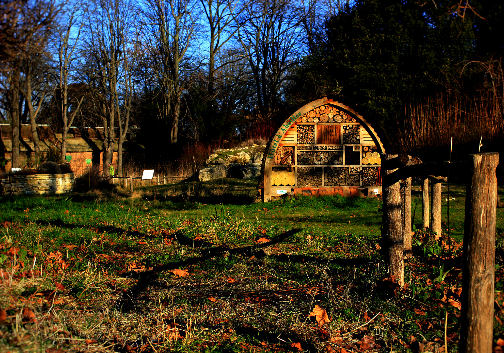 Canon EOS 550D (EOS Rebel T2i / EOS Kiss X4) sample photo. Le temple des abeilles photography