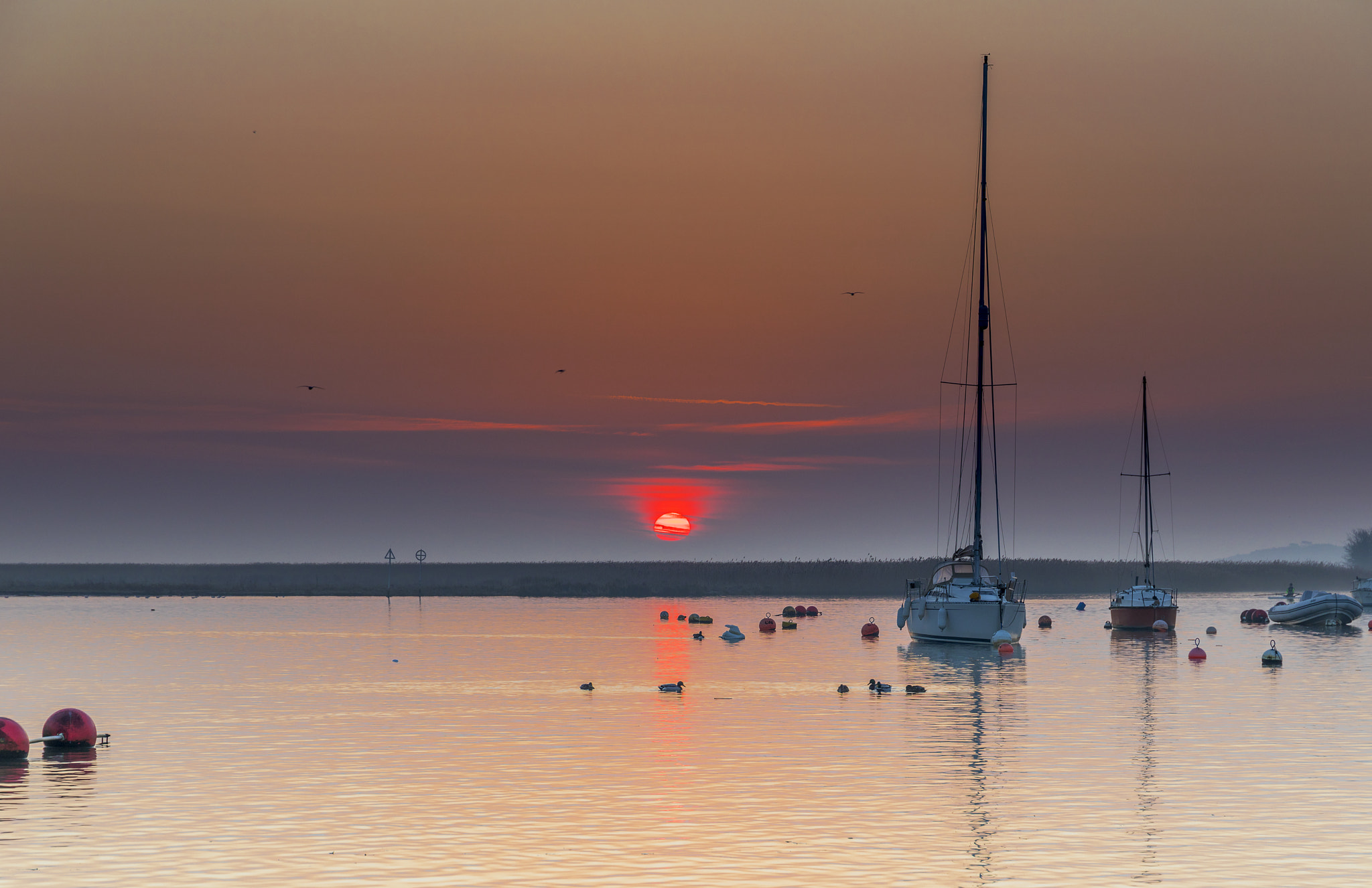 Canon EF 24-105mm F3.5-5.6 IS STM sample photo. Red sun photography