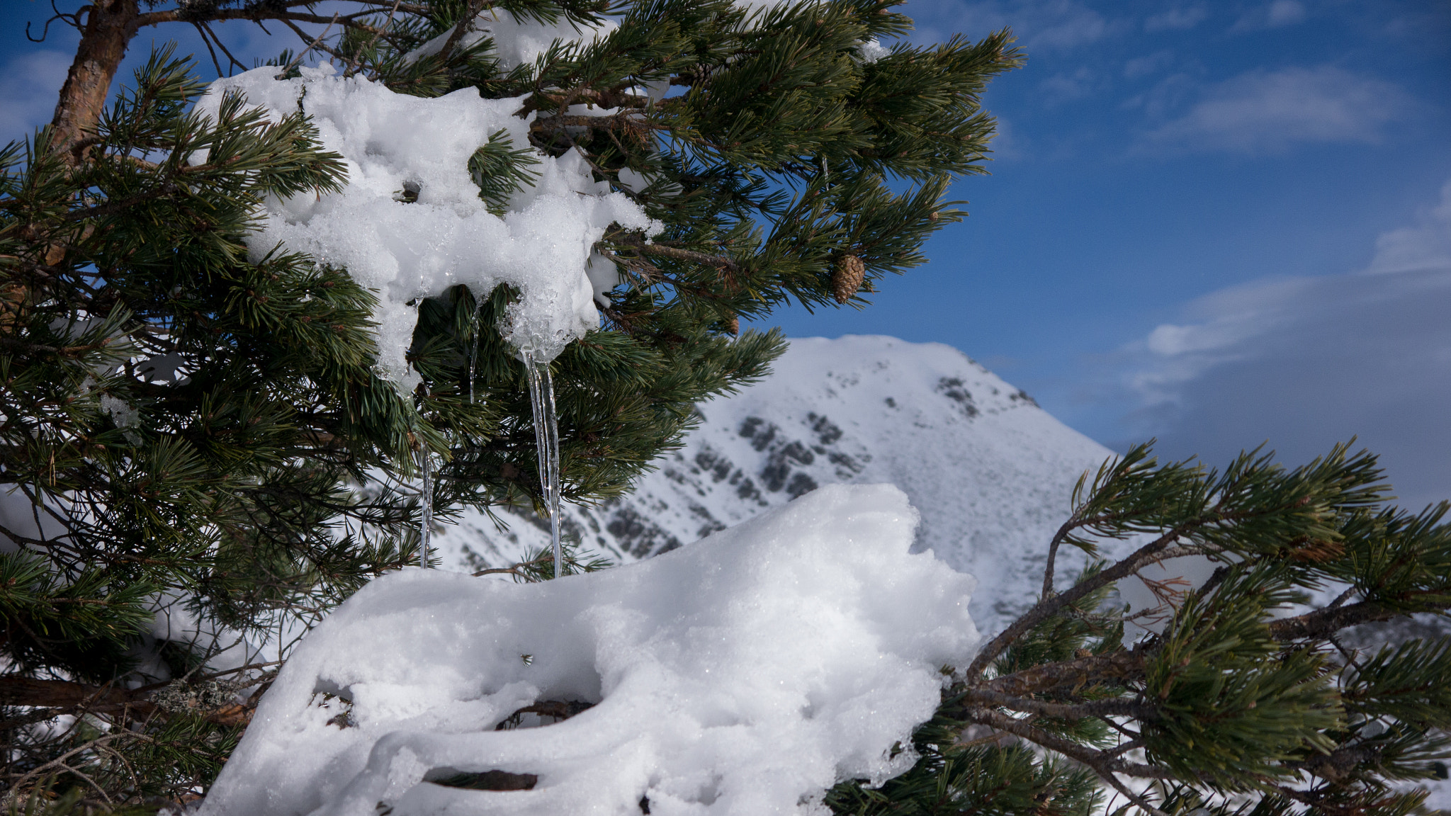 Panasonic Lumix DMC-GH2 sample photo. Icicles photography