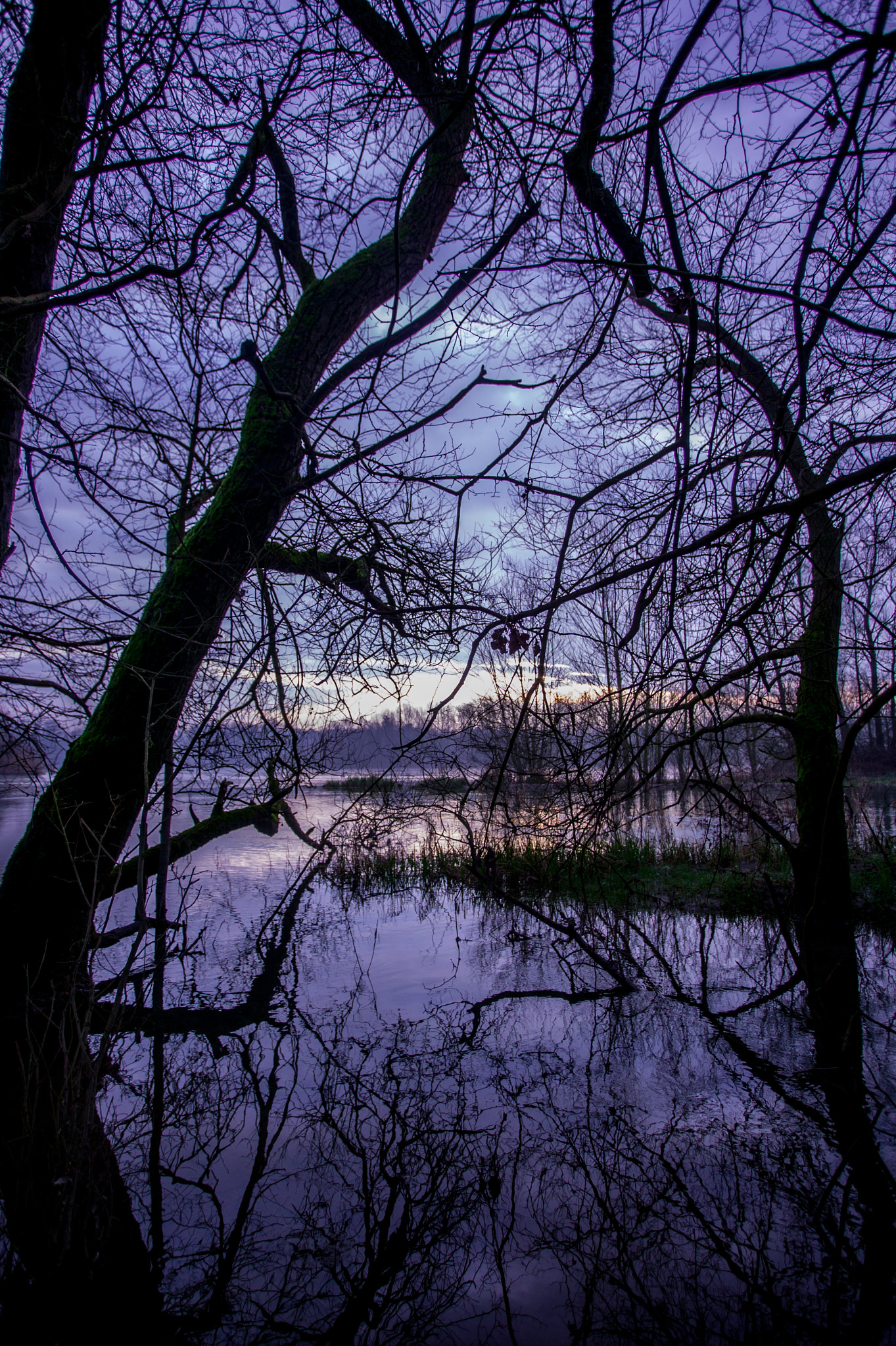 Canon EOS-1Ds + Canon EF 17-40mm F4L USM sample photo. Amazing sunset on the lake photography