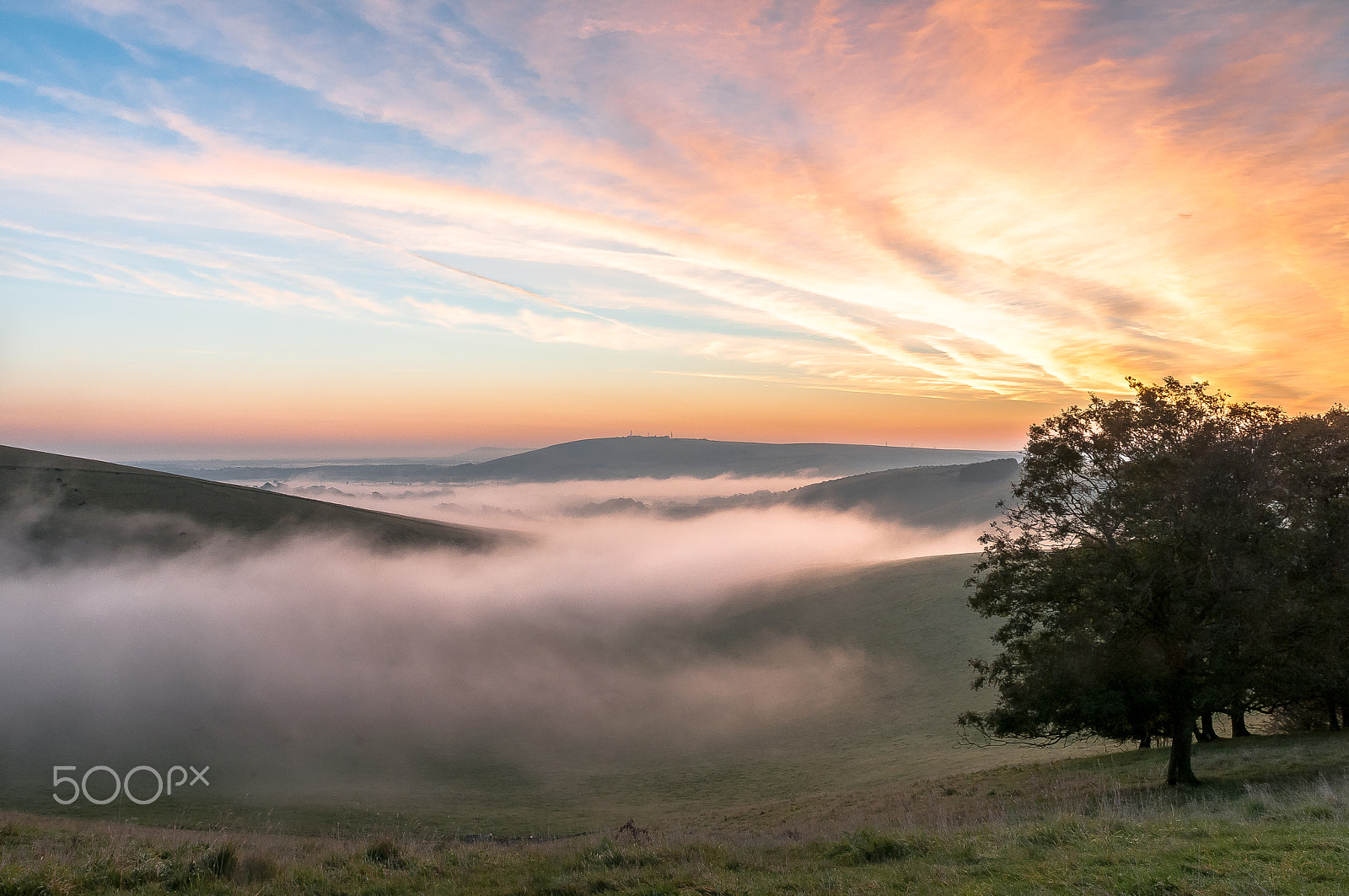 Nikon D300S sample photo. A misty morning - steyning bowl photography
