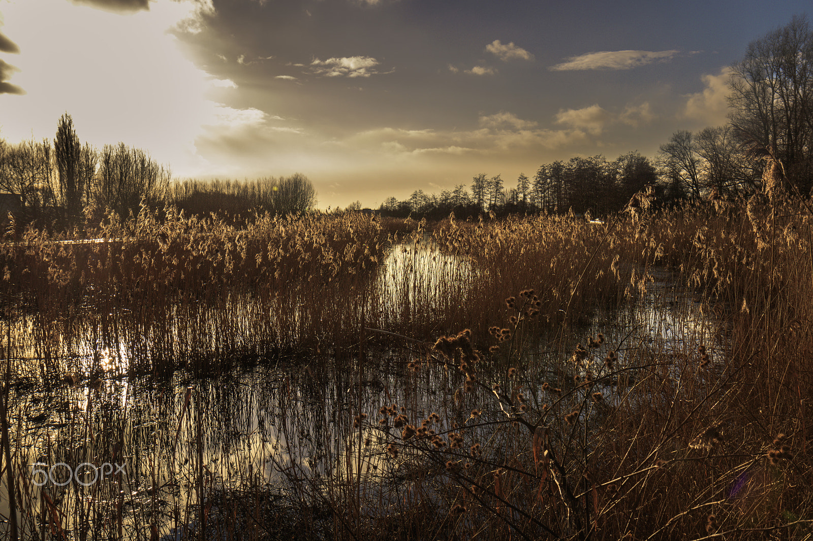 Canon EOS 750D (EOS Rebel T6i / EOS Kiss X8i) sample photo. Durme photography