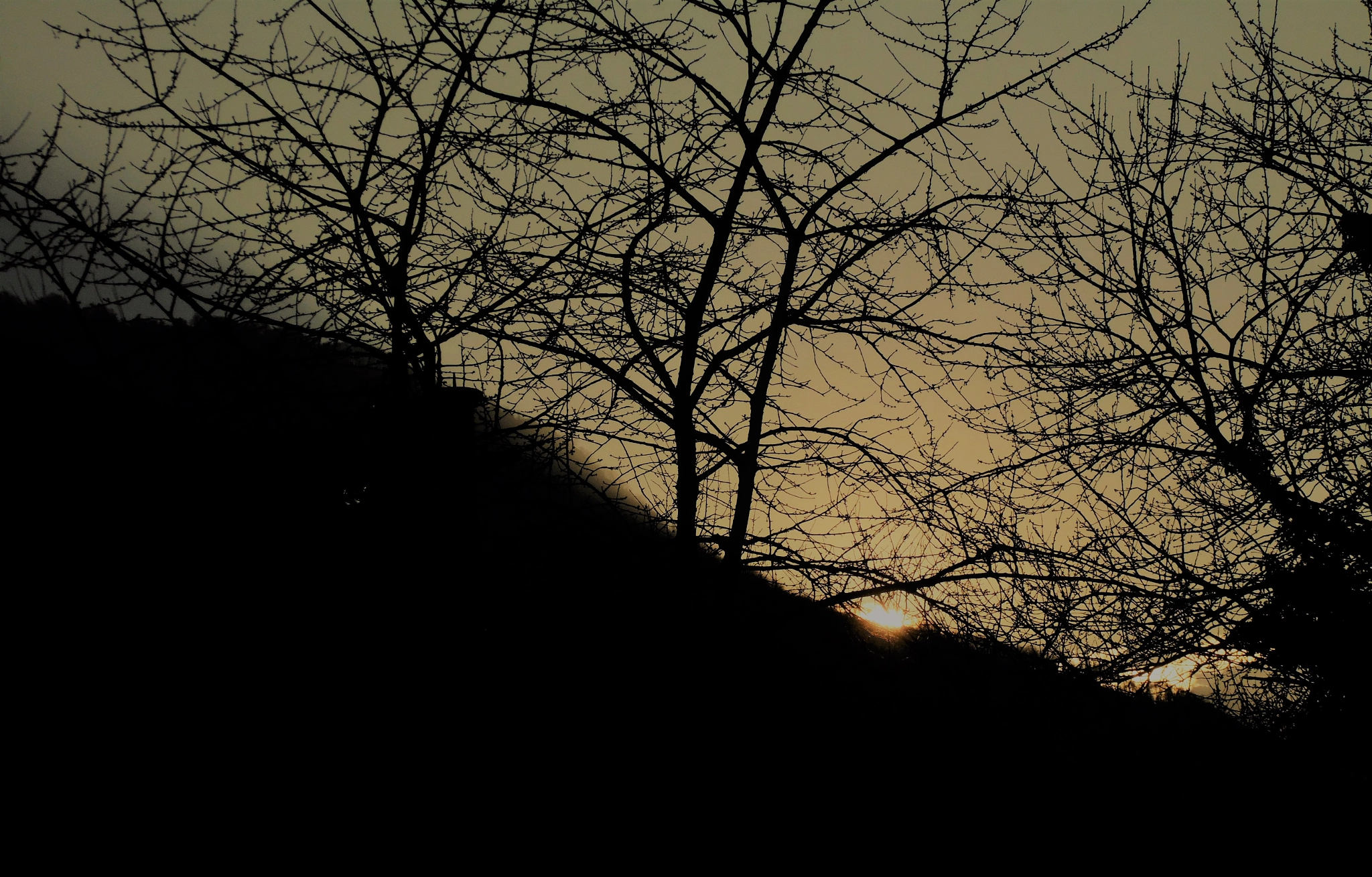 Samsung WB110/  WB111 sample photo. The last sunrayes on the mountains photography