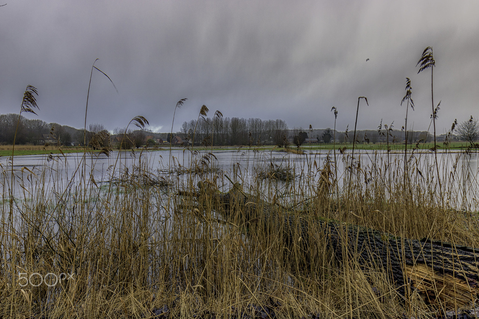 Canon EOS 750D (EOS Rebel T6i / EOS Kiss X8i) sample photo. Flooded field photography