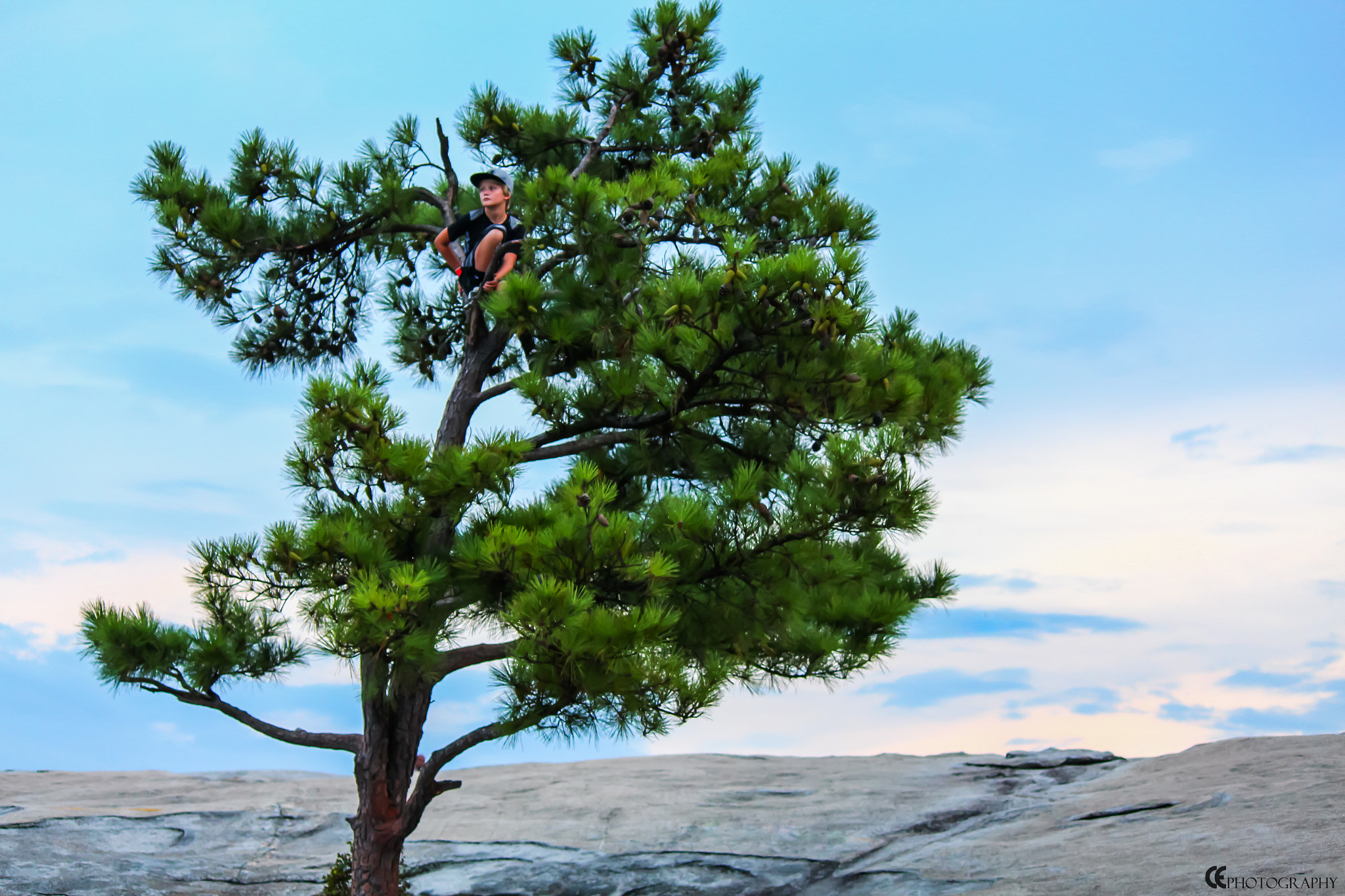 Canon EOS 650D (EOS Rebel T4i / EOS Kiss X6i) sample photo. Boy in a tree photography
