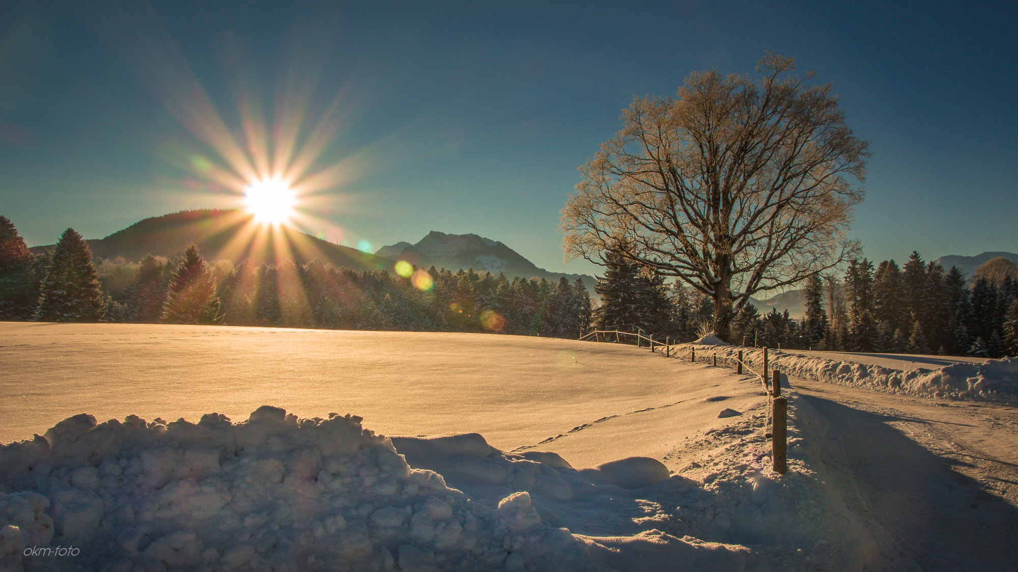 Sigma 18-250mm F3.5-6.3 DC OS HSM sample photo. Sonnige morgen photography