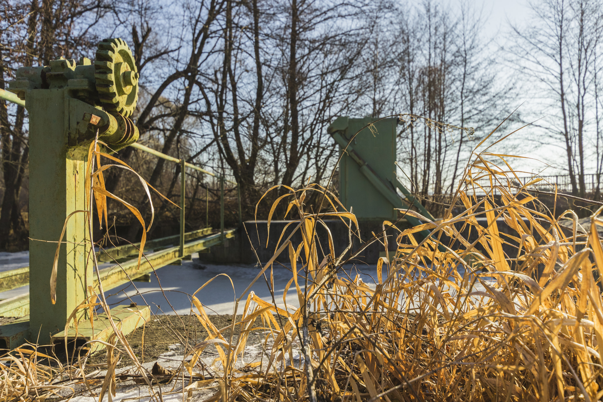 Sigma 10-20mm F3.5 EX DC HSM sample photo. Img photography