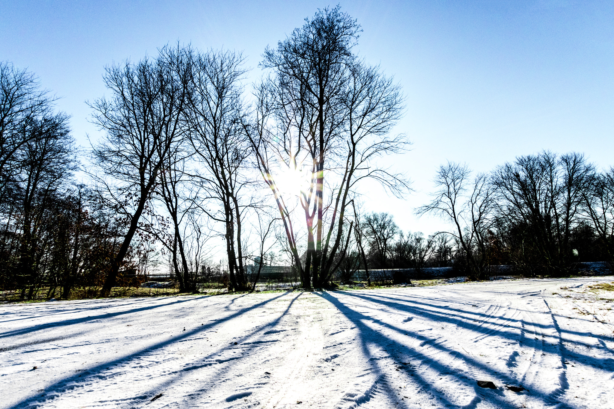 Sigma 10-20mm F3.5 EX DC HSM sample photo. Img photography