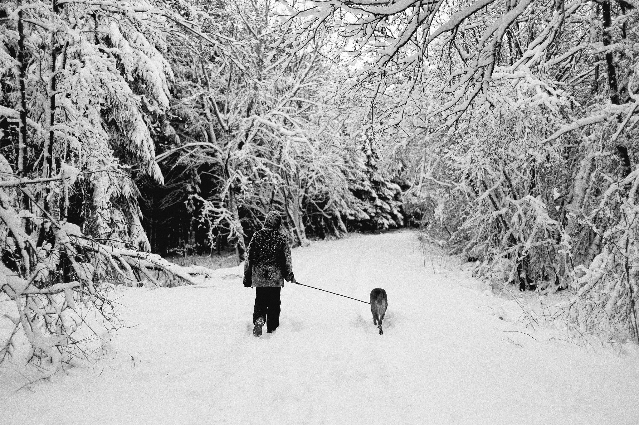 Leica Summicron-M 35mm F2 ASPH sample photo. White world photography