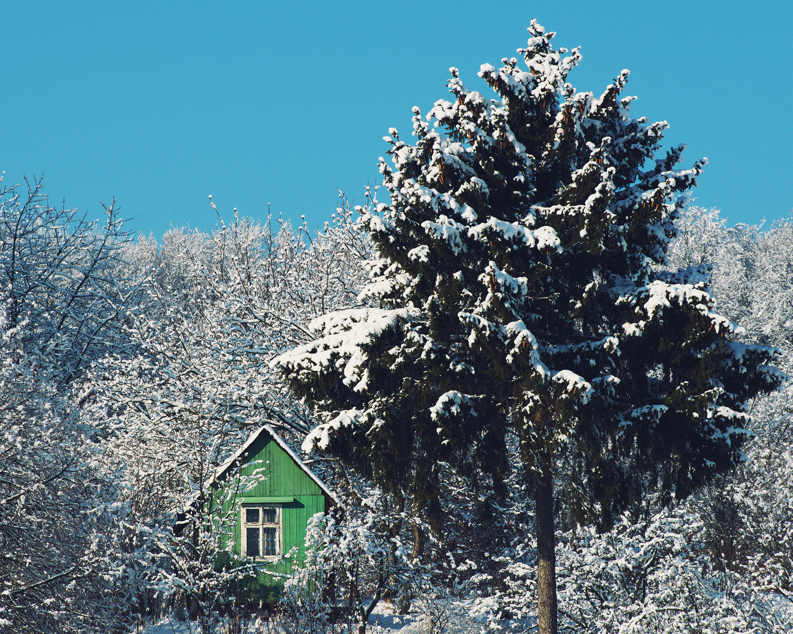 Pentax K-3 sample photo. A small emerald lodge hiding in the woods photography