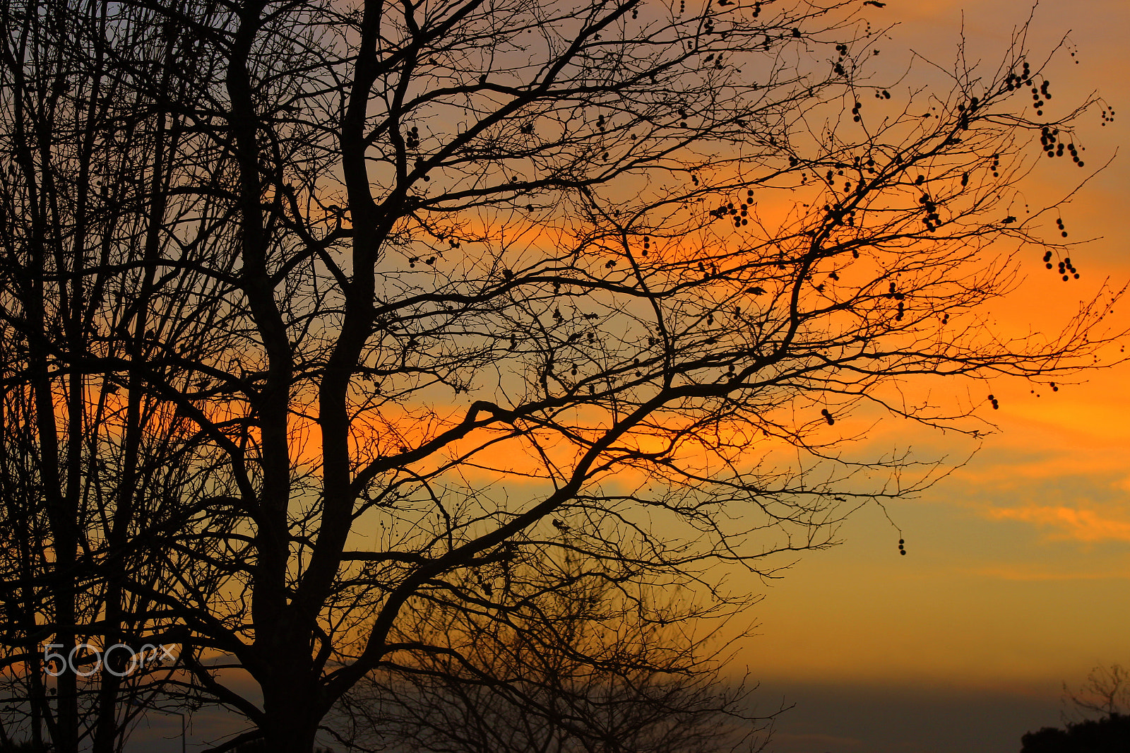 Canon EOS 650D (EOS Rebel T4i / EOS Kiss X6i) + EF75-300mm f/4-5.6 sample photo. Orange waves photography