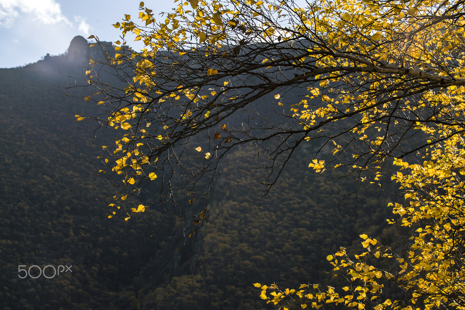 Canon EF 100-400mm F4.5-5.6L IS USM sample photo. 秋系列 autumn photography