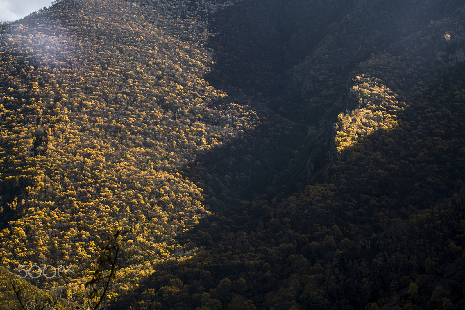 Canon EF 100-400mm F4.5-5.6L IS USM sample photo. 秋系列 autumn photography
