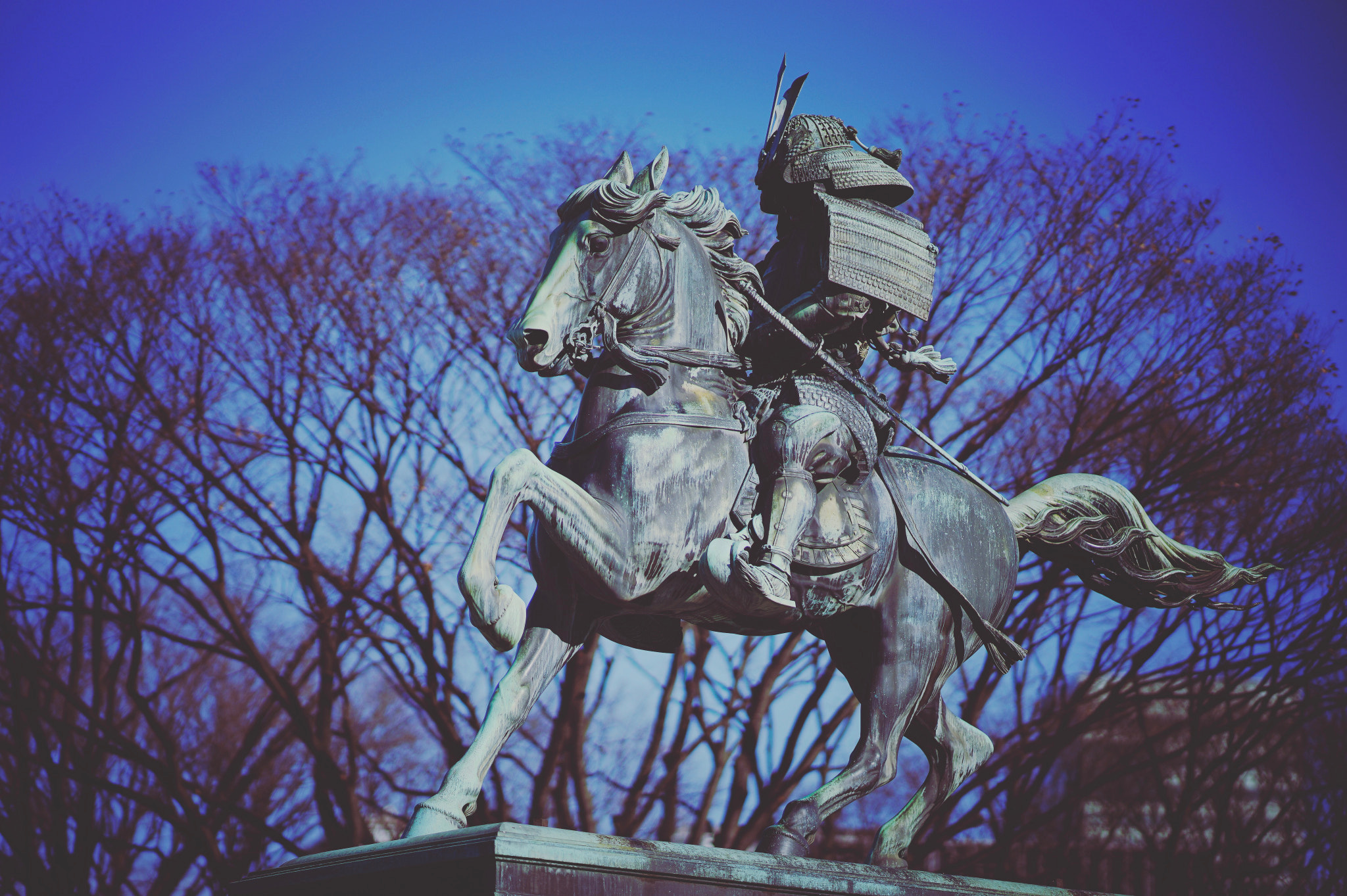 Sony Sonnar T* 135mm F1.8 ZA sample photo
