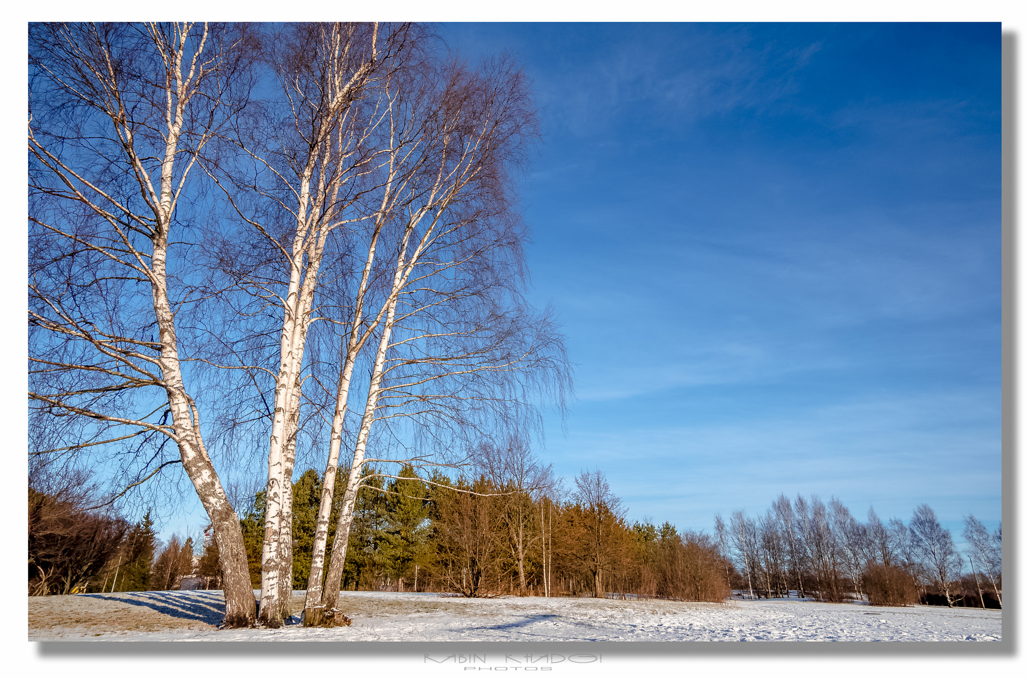 LUMIX G VARIO 12-60/F3.5-5.6 sample photo. Blue sky in snowy winter. photography