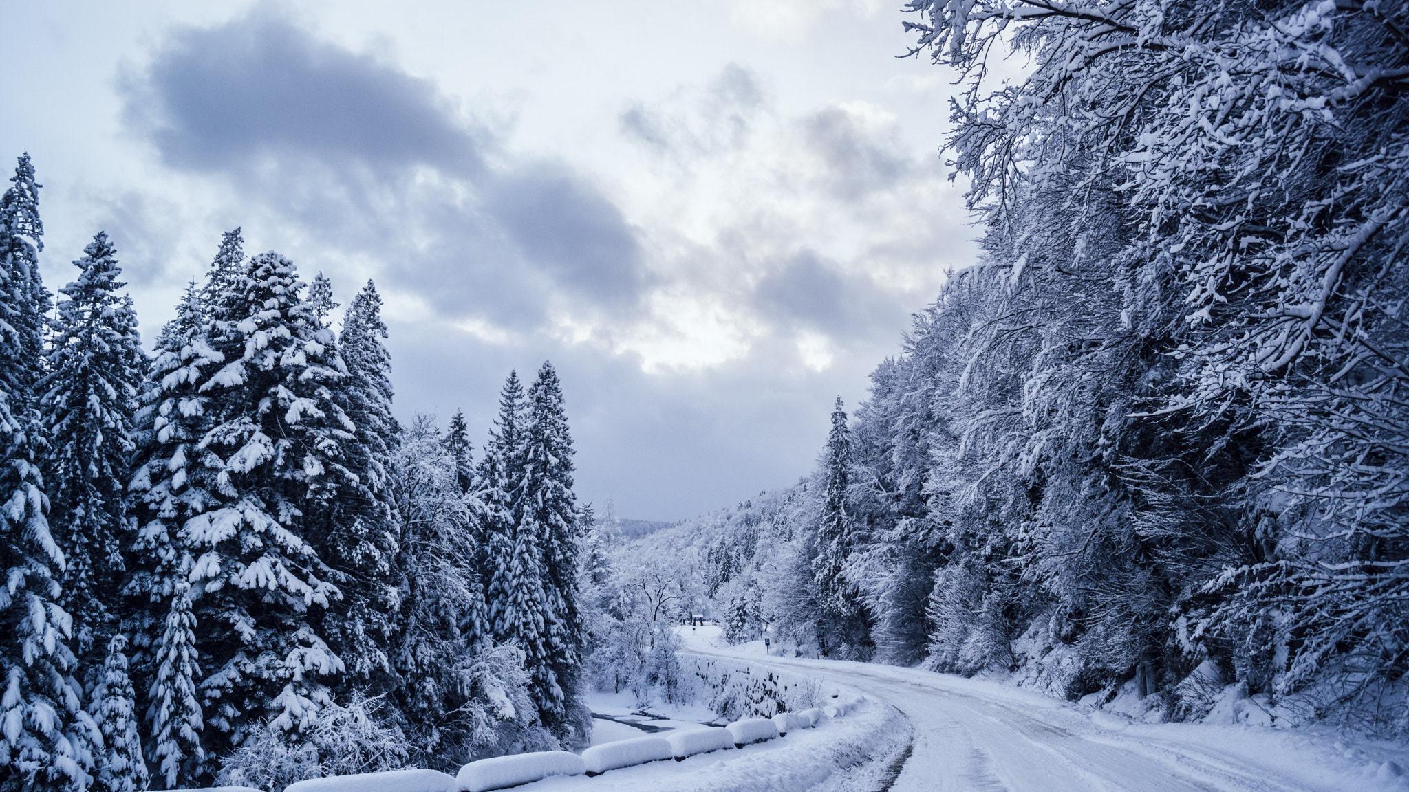 Sony SLT-A77 + Sony DT 18-55mm F3.5-5.6 SAM sample photo. Winter photography