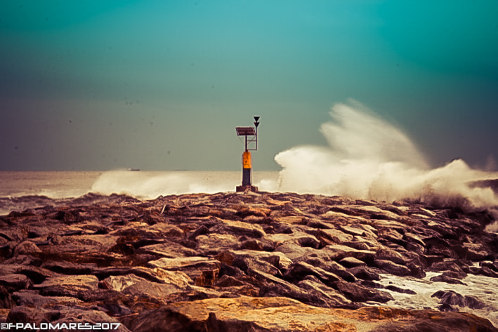 Sigma 18-50mm f/2.8 Macro sample photo. Castelldefels photography