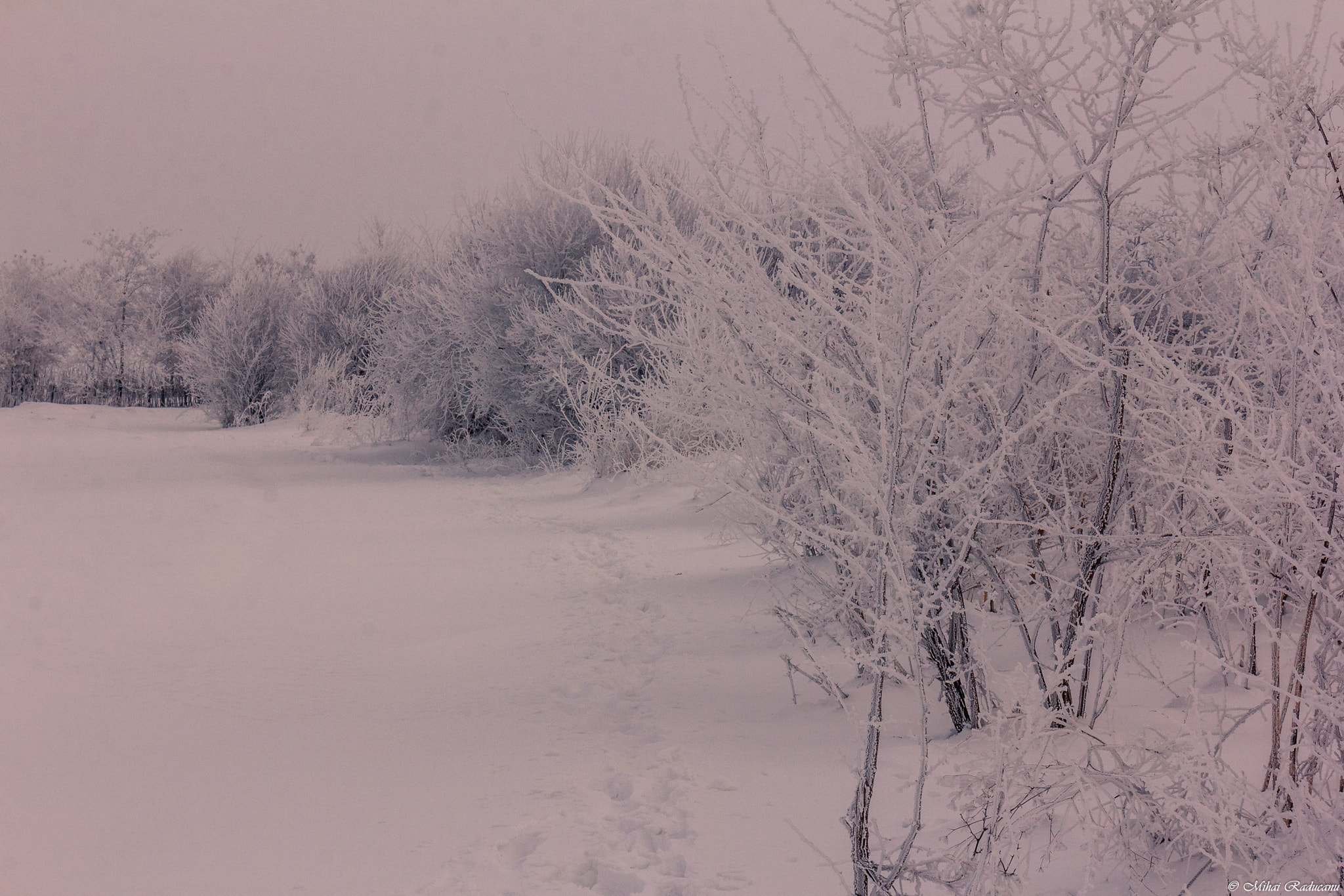 Canon EOS 60D sample photo. Winter time photography