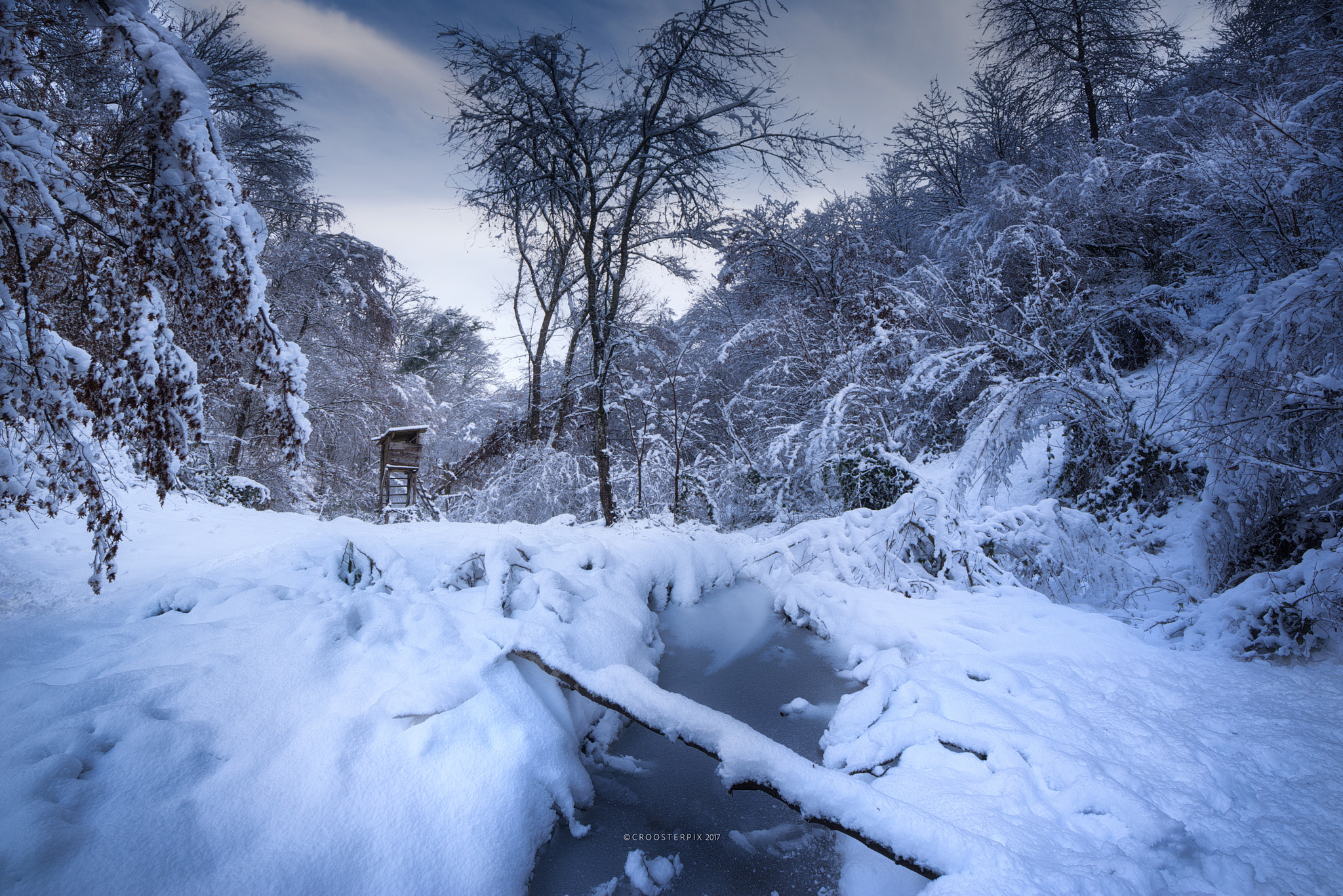 Tamron SP 15-30mm F2.8 Di VC USD sample photo. Wintertime photography