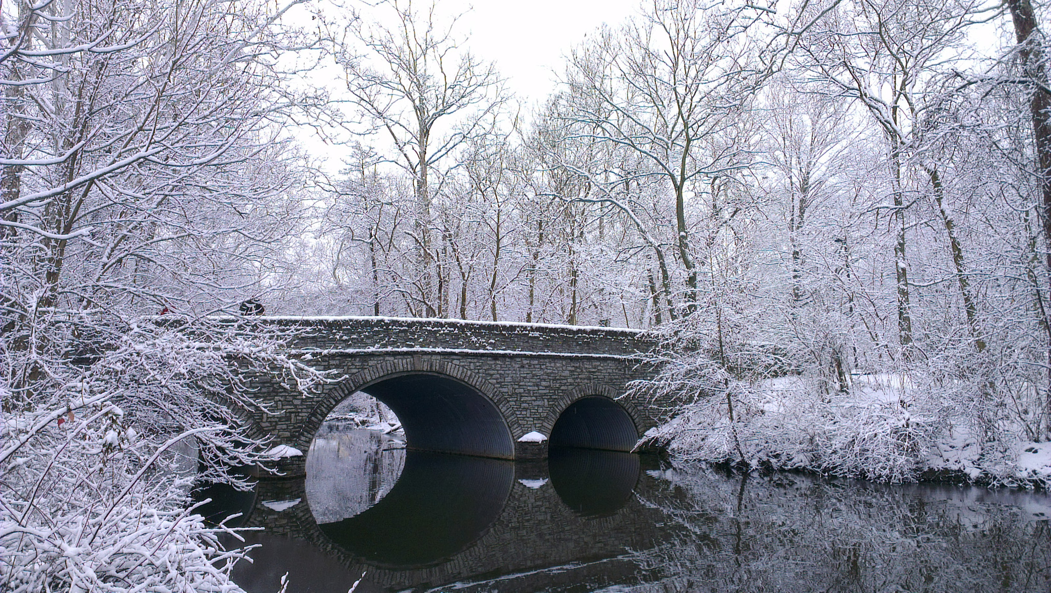 HTC ONE X sample photo. Sharon  woods  photography