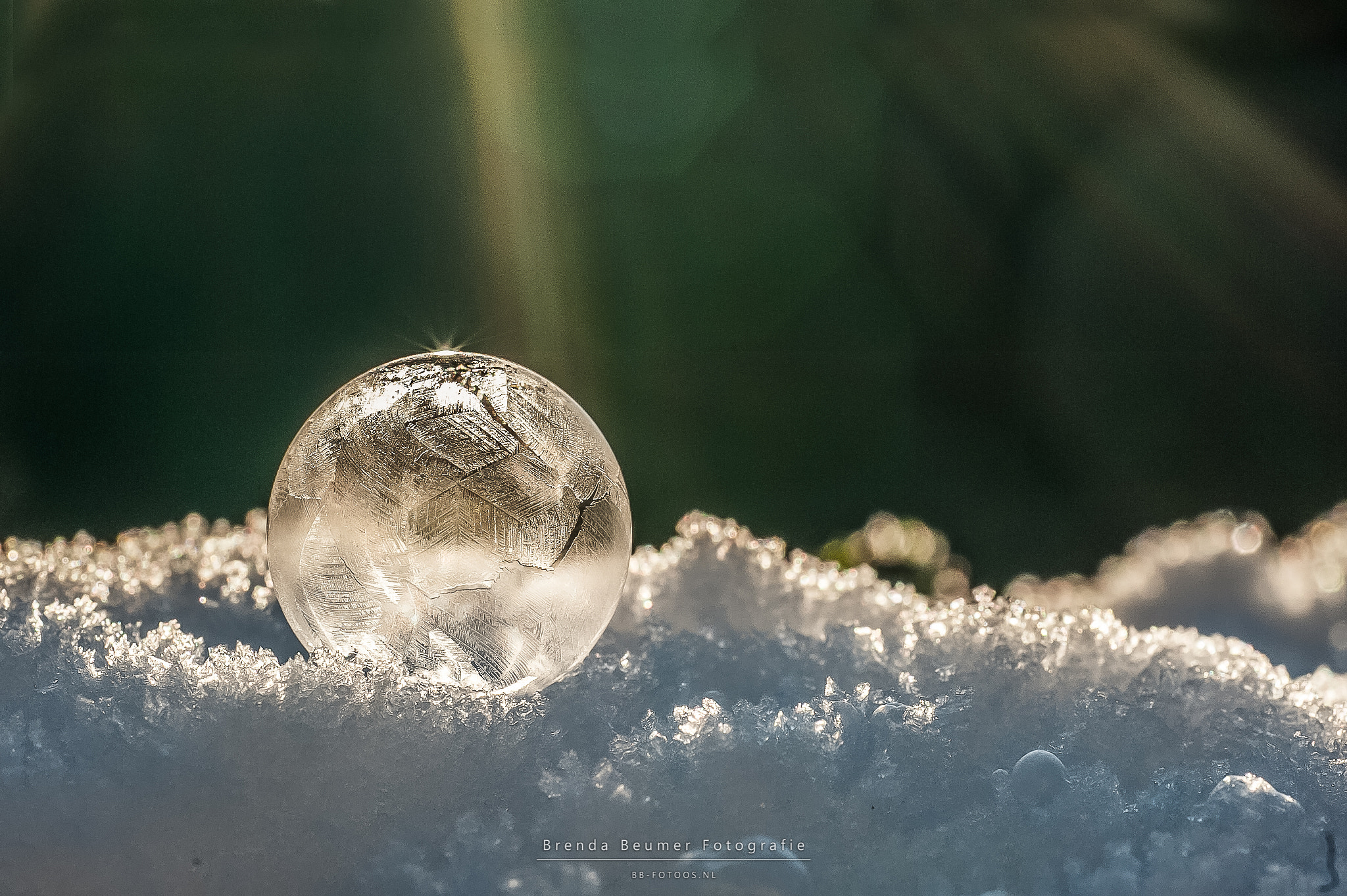 Nikon D700 sample photo. Frozen bubble photography