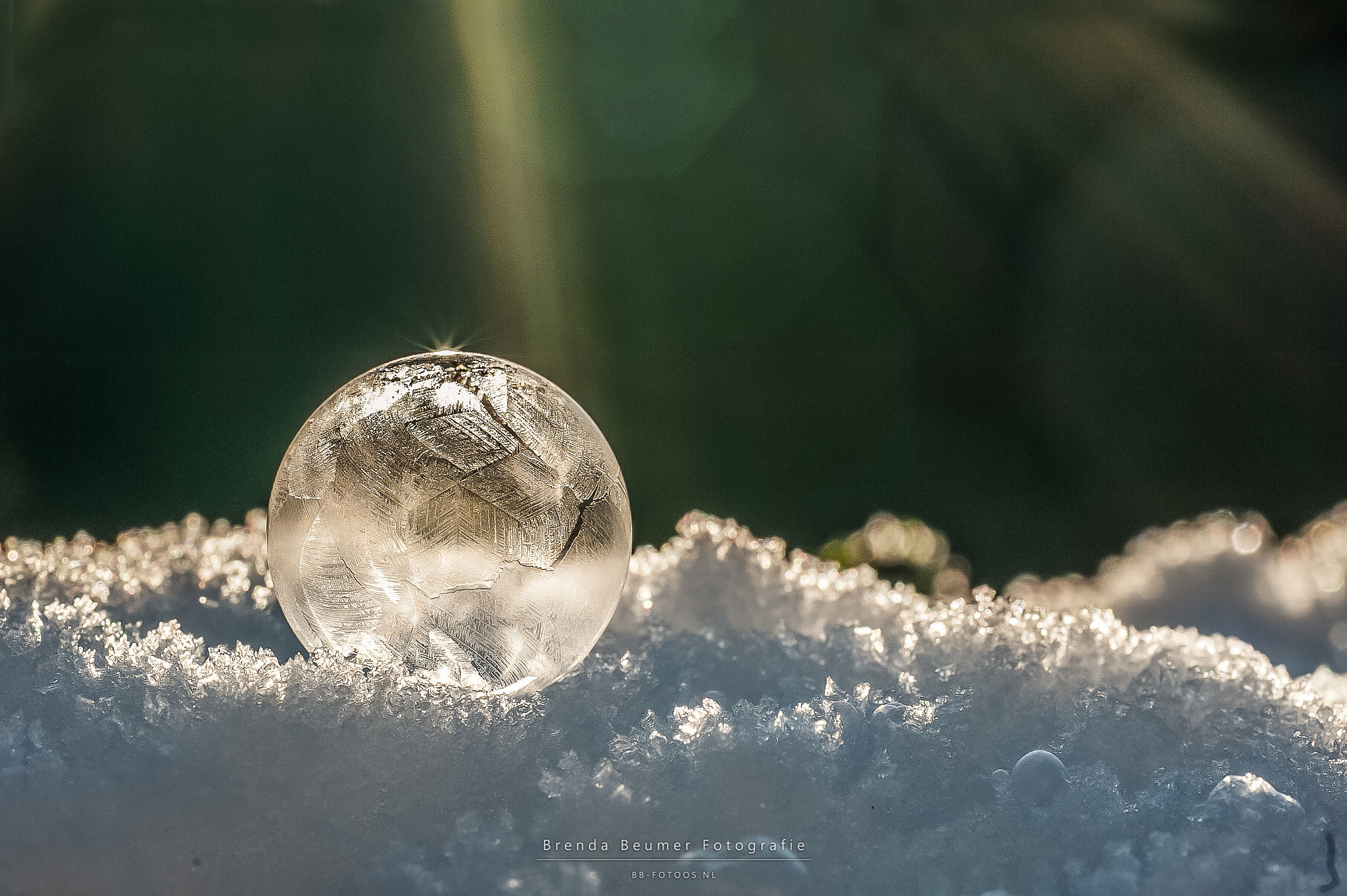 Sigma 70mm F2.8 EX DG Macro sample photo. Frozen bubble photography