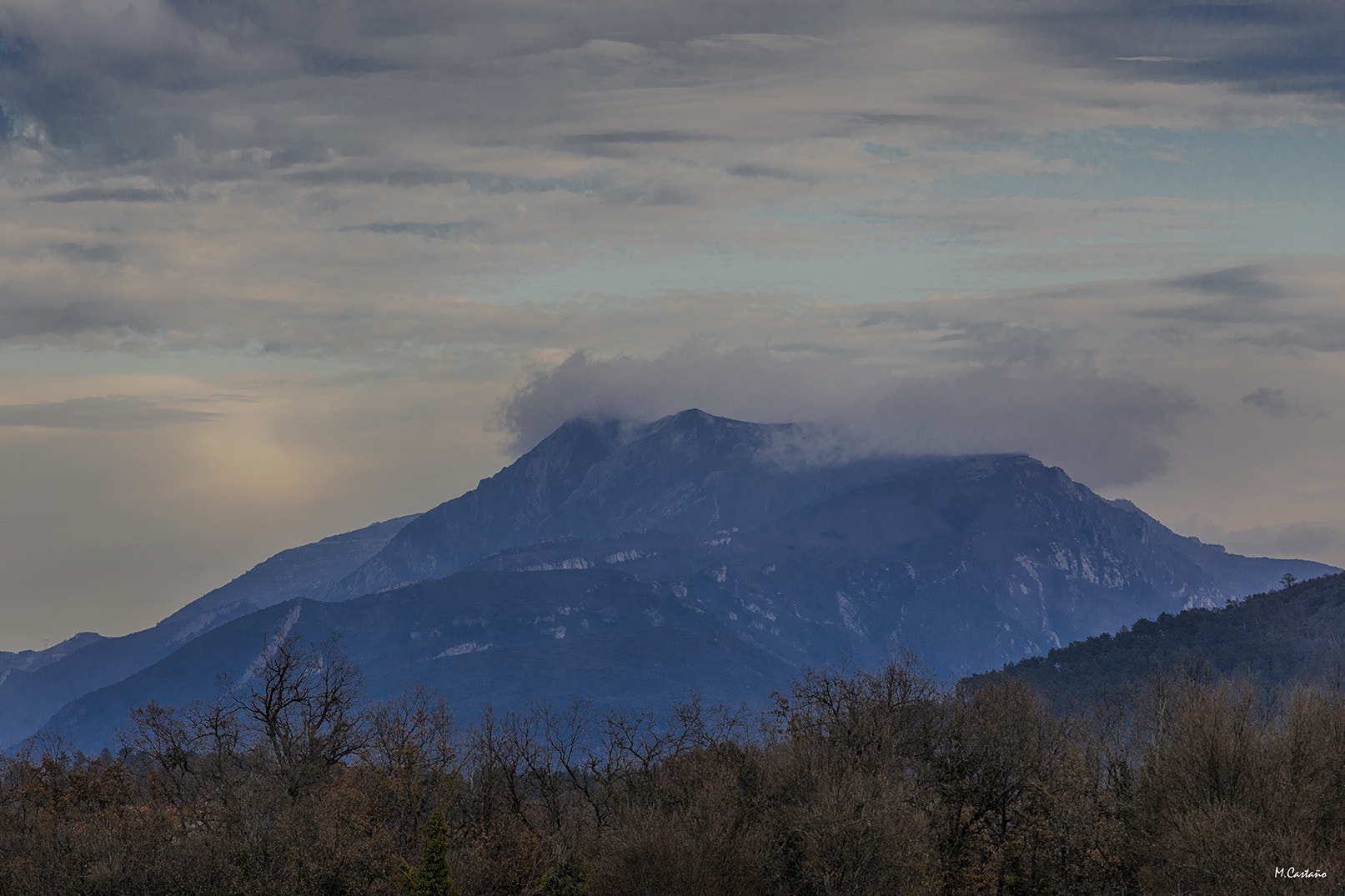 Canon EF 70-200mm F4L IS USM sample photo. Frias photography