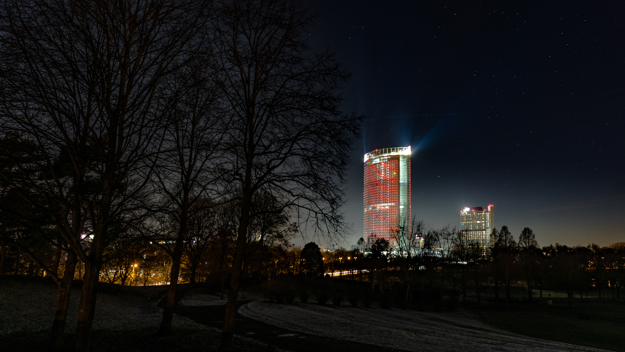 Nikon D800 + Nikon AF-S Nikkor 24mm F1.8G ED sample photo. Dark trees photography