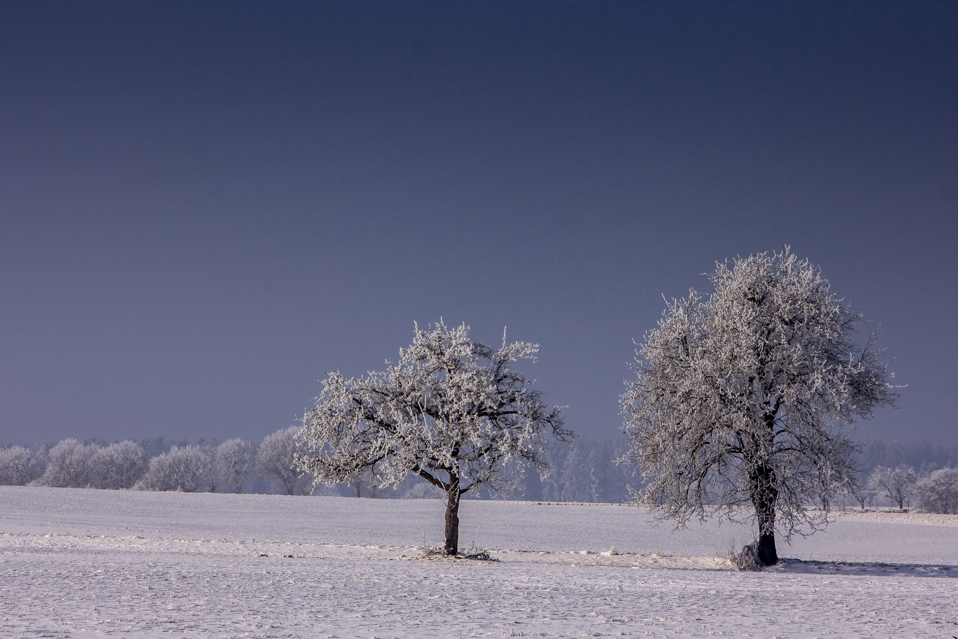 Canon EOS 60D sample photo. Winter photography