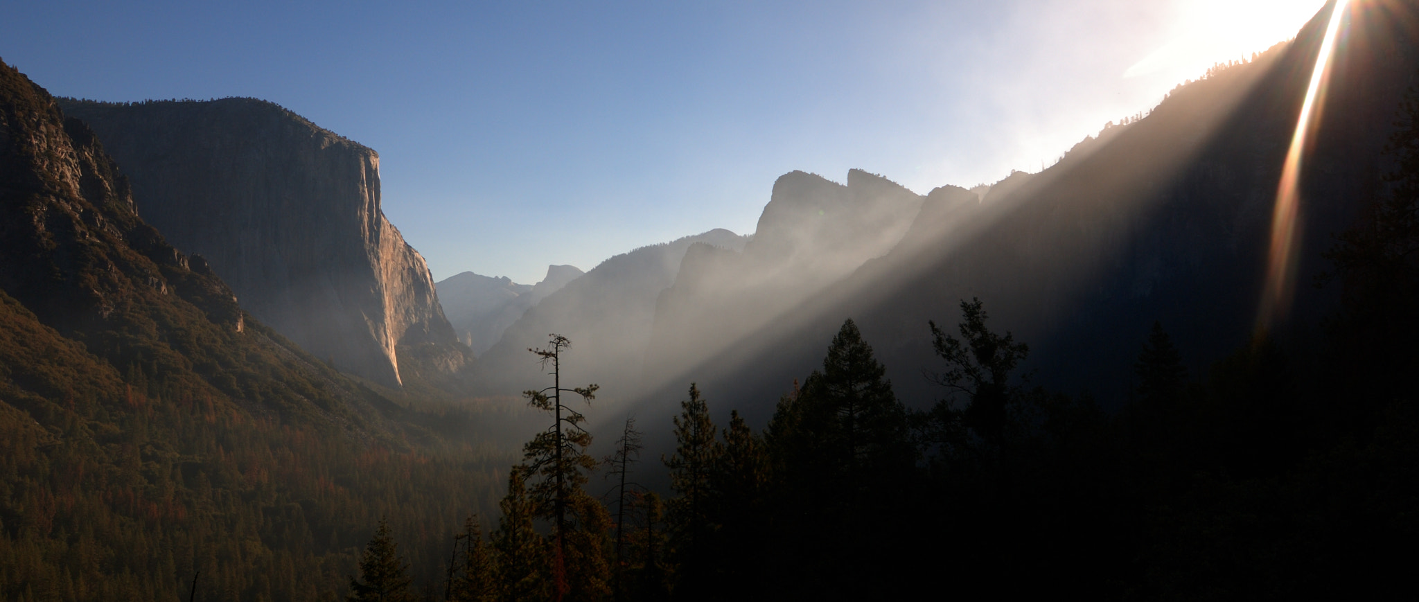 Nikon D80 sample photo. Yosemite morning light photography