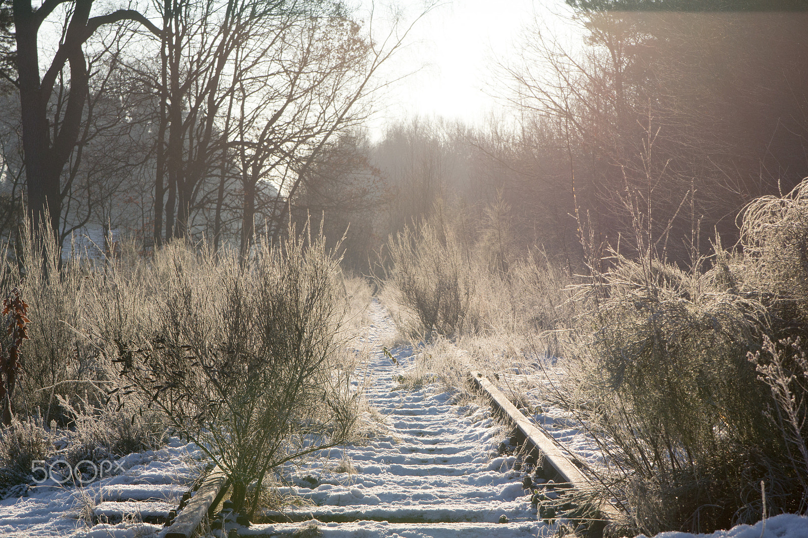 Canon EOS 60D sample photo. The old railroad photography