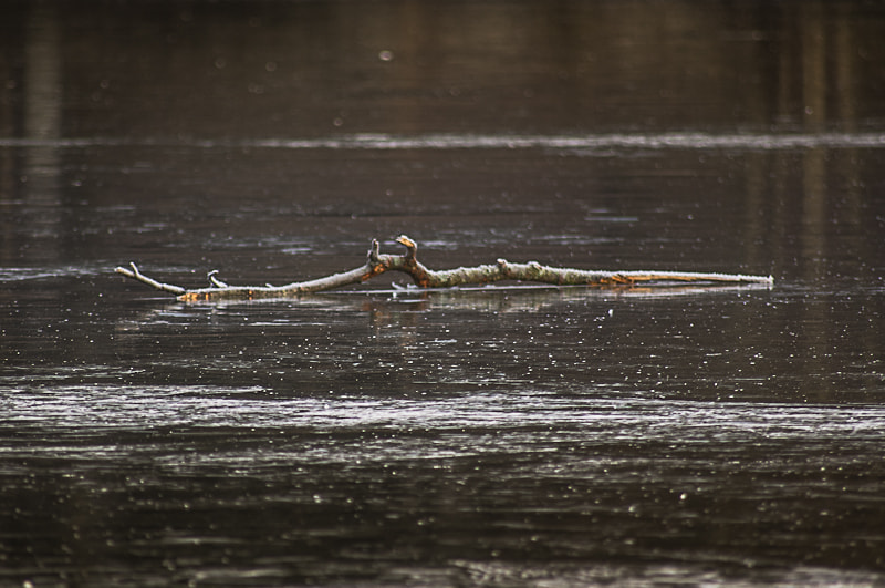 Pentax K-r + Sigma sample photo. ::promenade hivernale:: photography