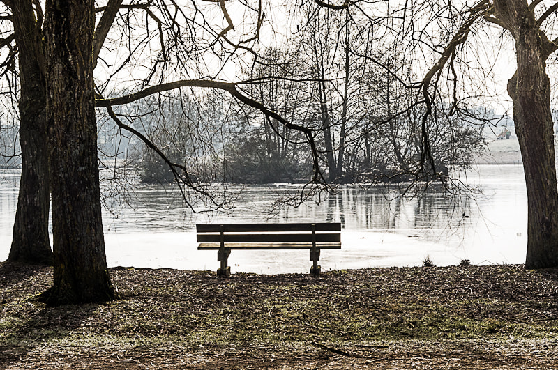 Pentax K-r sample photo. ::promenade hivernale:: photography