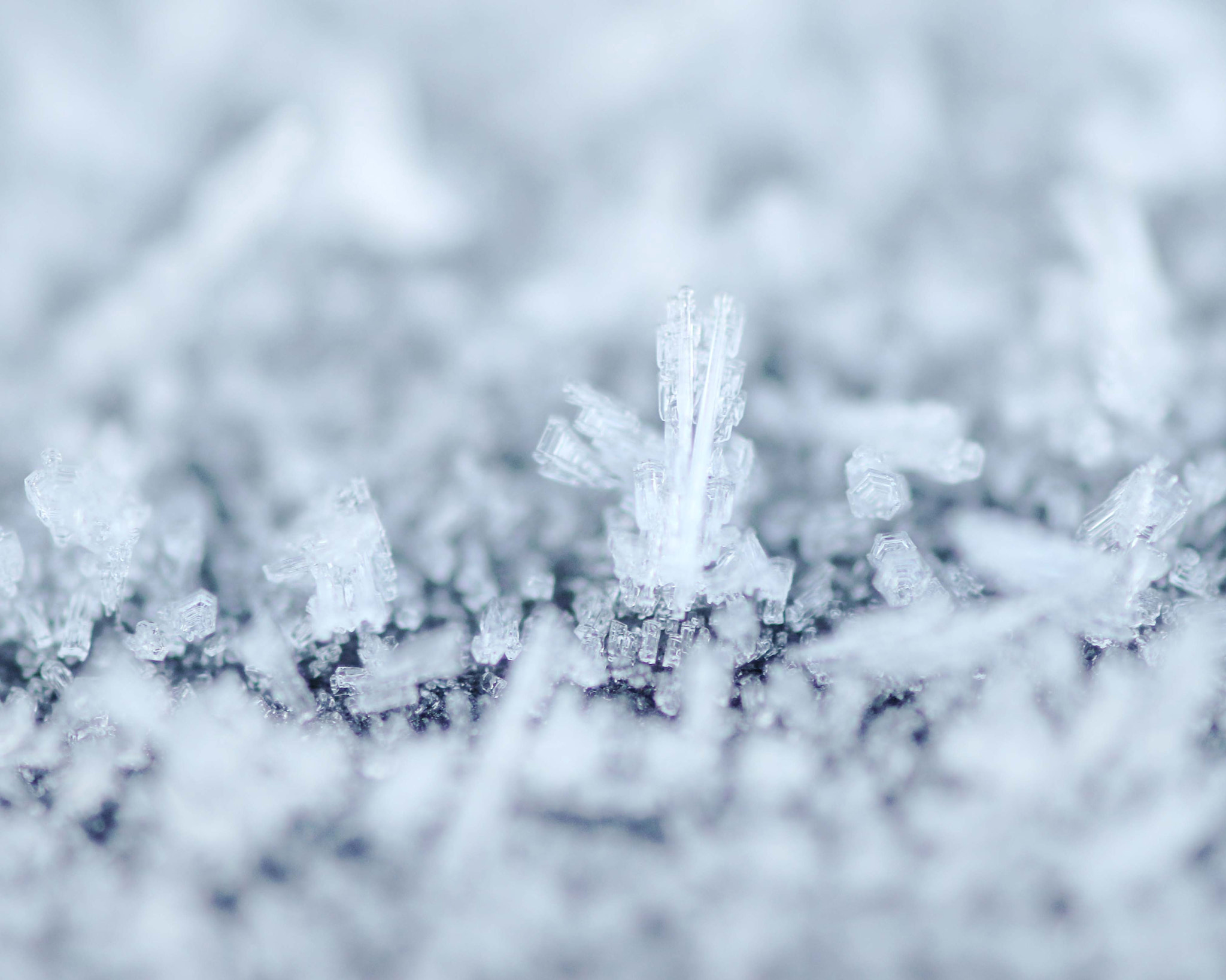 Canon EF 180mm F3.5L Macro USM sample photo. Winter art photography