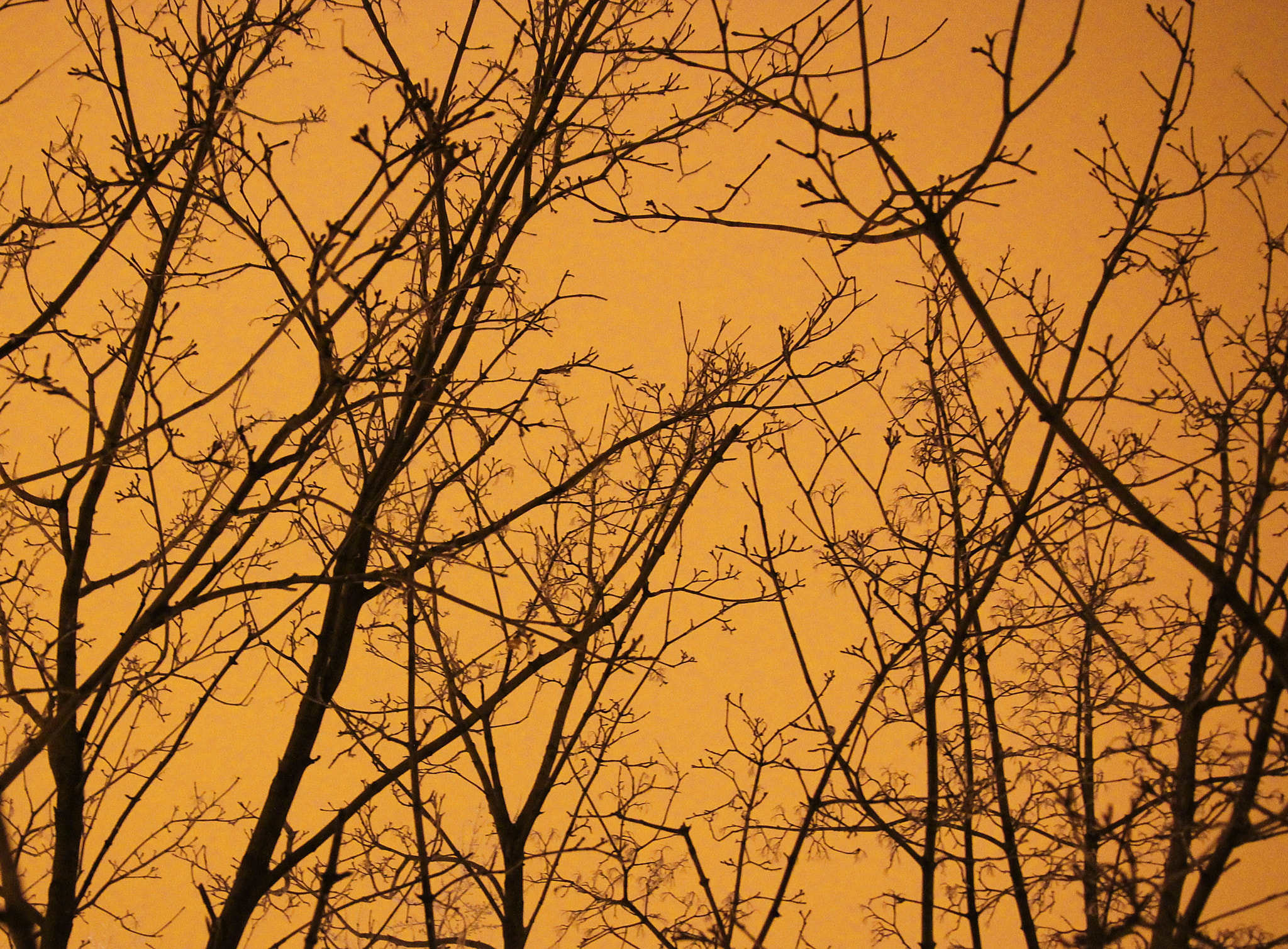 Sigma 17-70mm F2.8-4 DC Macro OS HSM sample photo. The night sky in the city photography