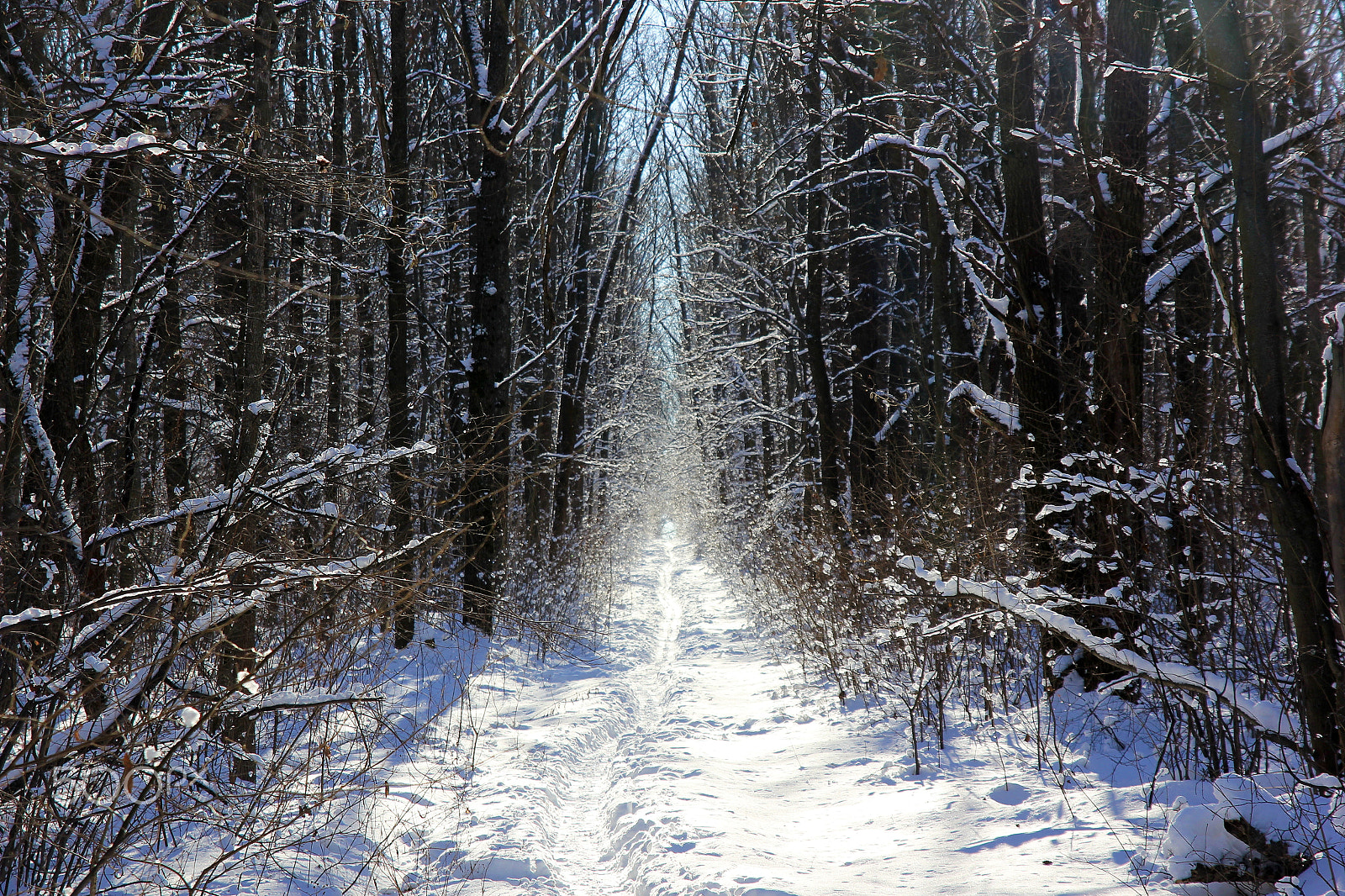 Canon EOS 60D sample photo. Ski tunnel photography