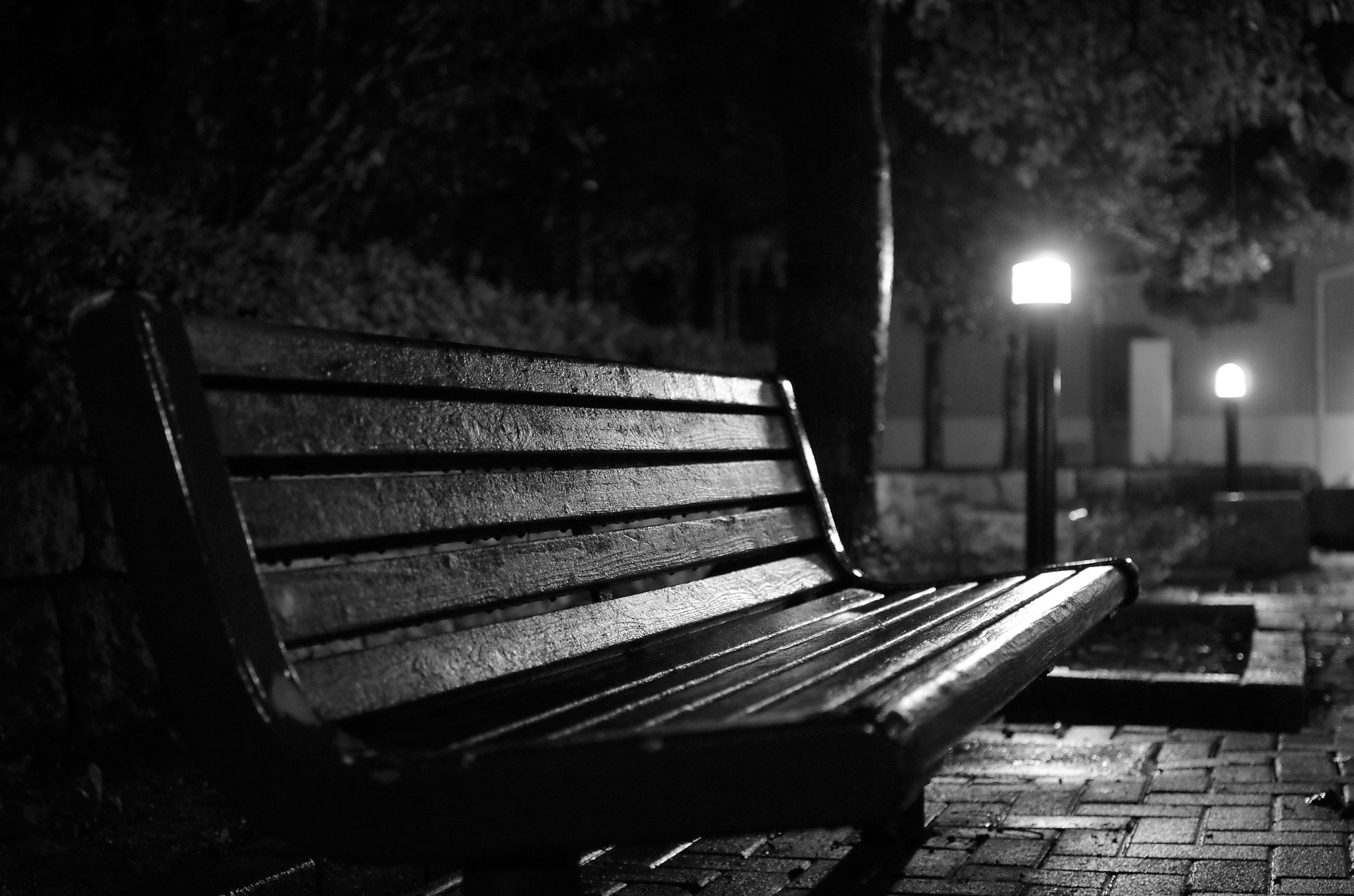 Pentax K-30 + Pentax smc DA 35mm F2.4 AL sample photo. Bench photography