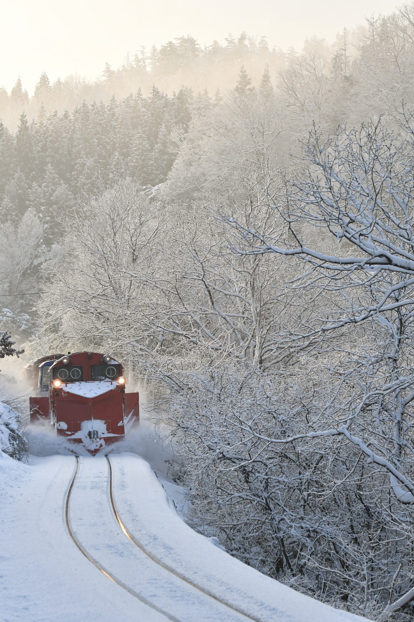 VR 70-200mm F/2.8 G sample photo. Winter morning photography