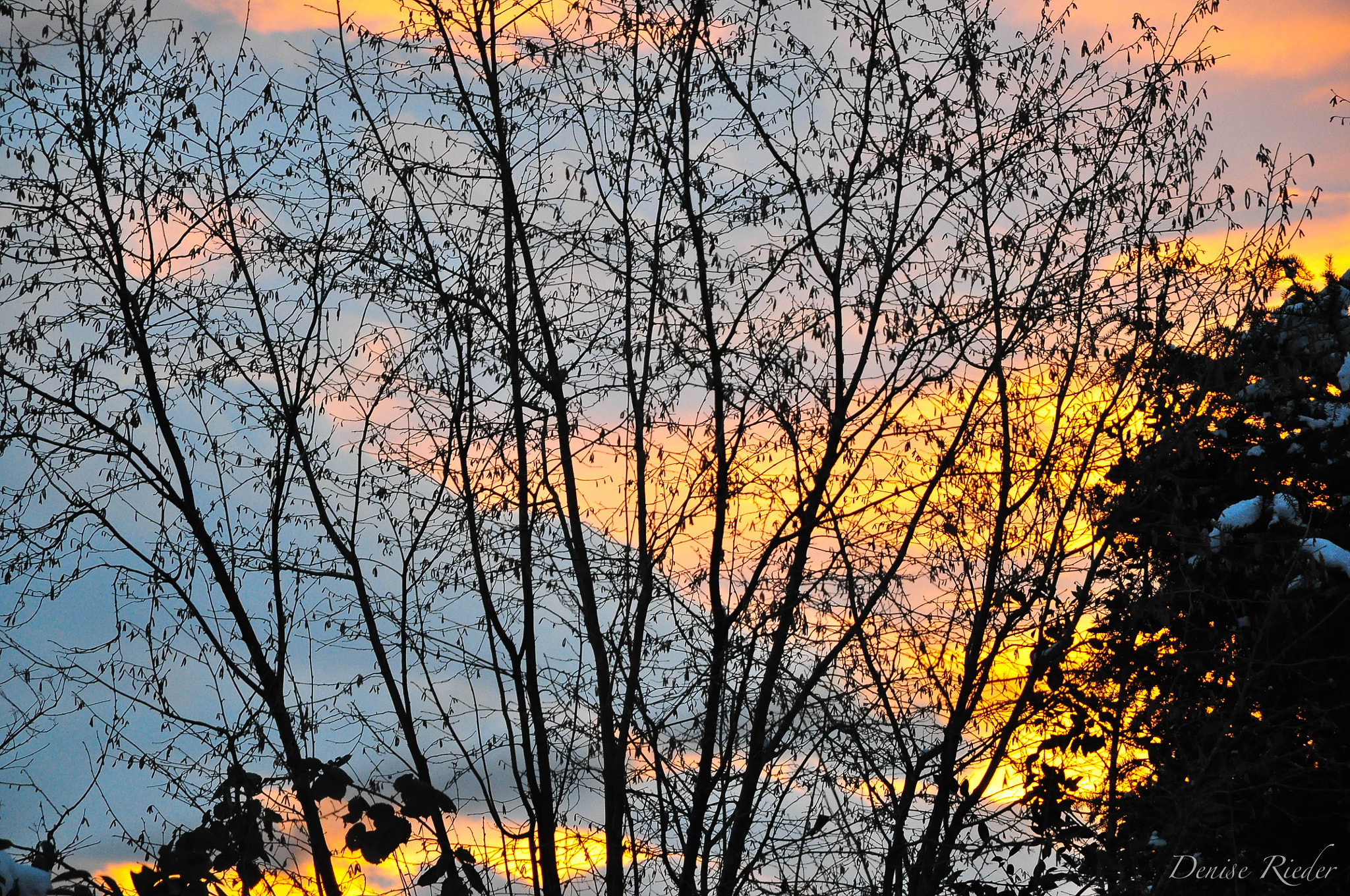 Nikon D5000 sample photo. Abendstimmung sunset photography