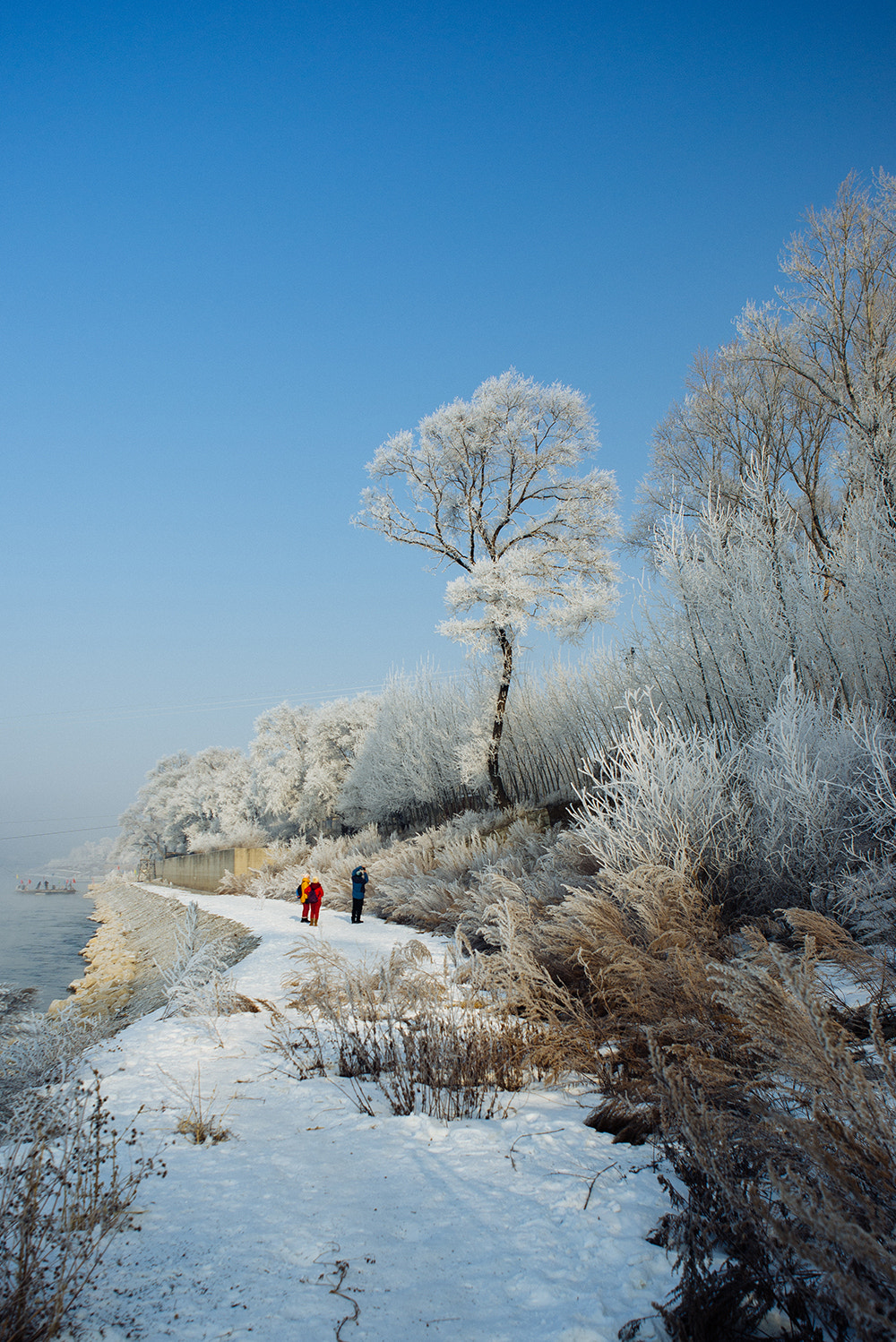 Nikon D610 + Nikon AF Nikkor 24mm F2.8D sample photo. Cold wether，rime by the river photography