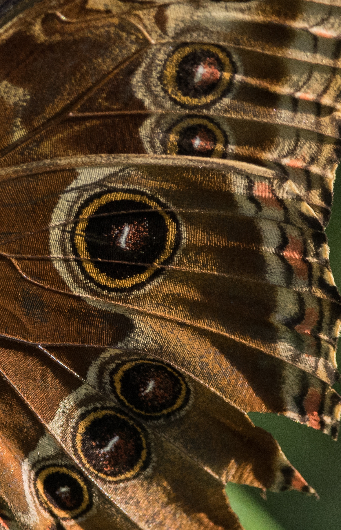 Sigma 150-600mm F5-6.3 DG OS HSM | C sample photo. Erp_3184-2.jpg photography
