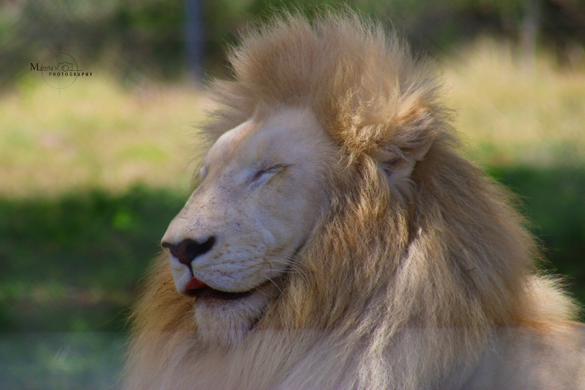 Canon EF 75-300mm f/4-5.6 USM sample photo. Img photography