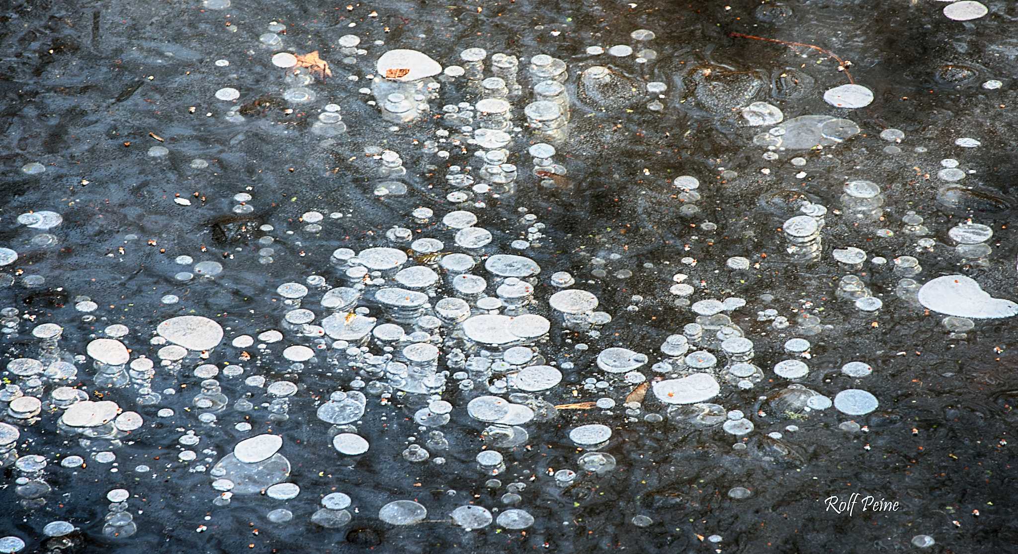 Nikon D800 sample photo. Ice bubbles photography