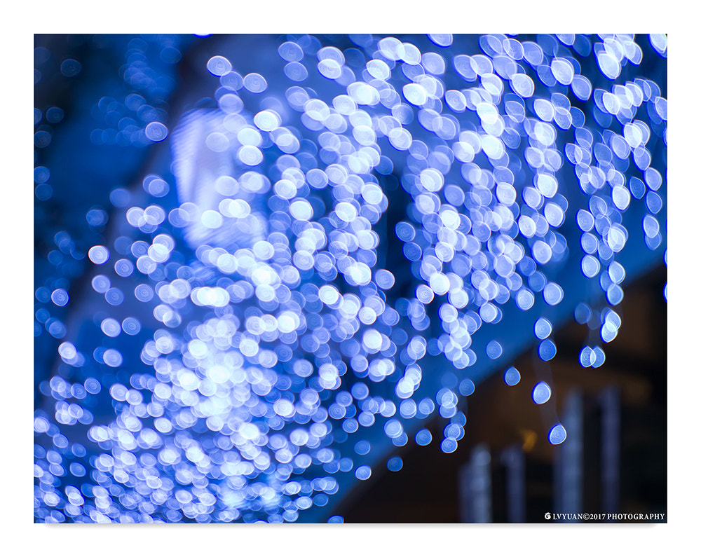 Nikon D800E sample photo. Profusion photography