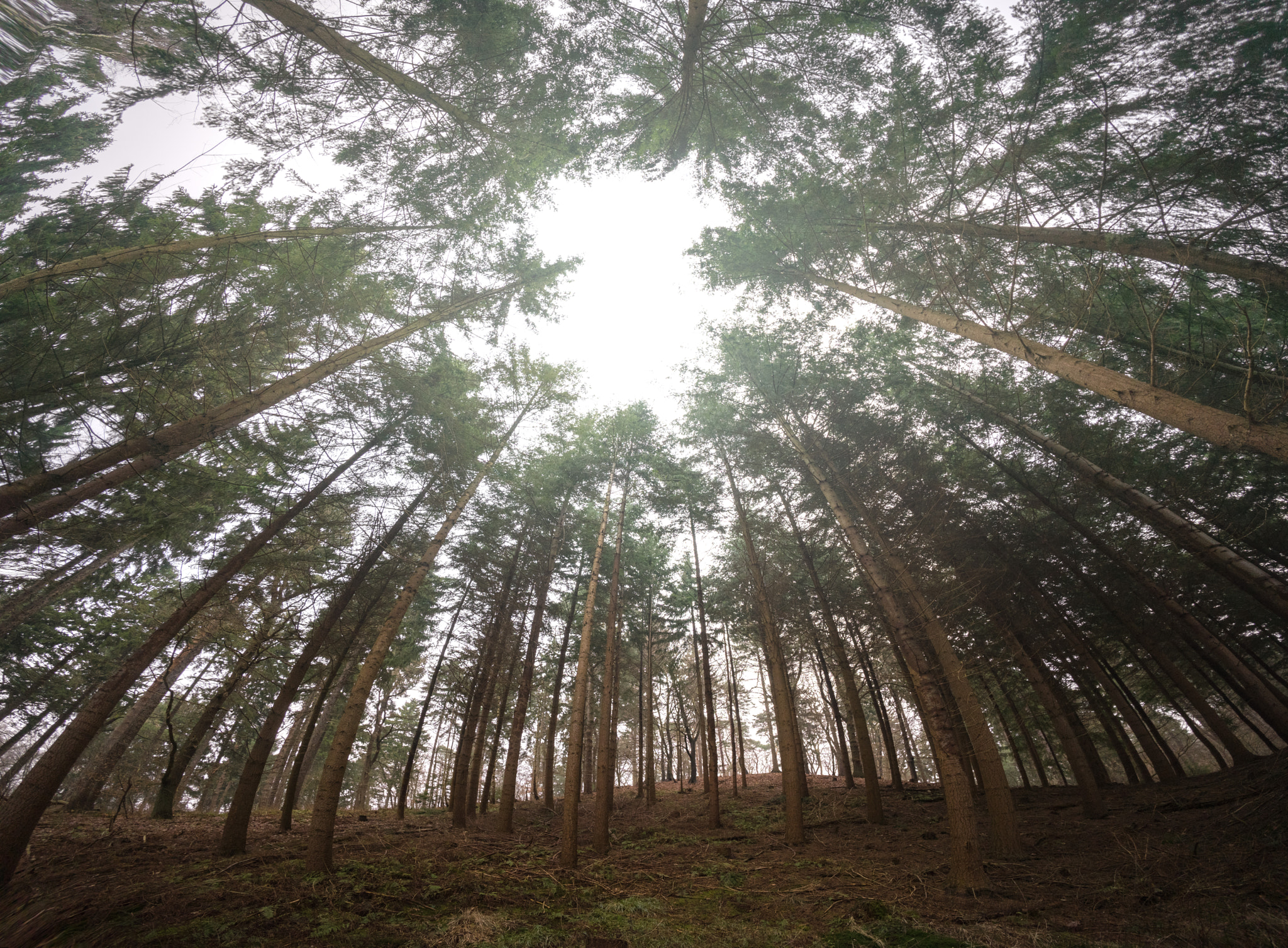 Voigtlander ULTRA WIDE-HELIAR 12mm F5.6 III sample photo