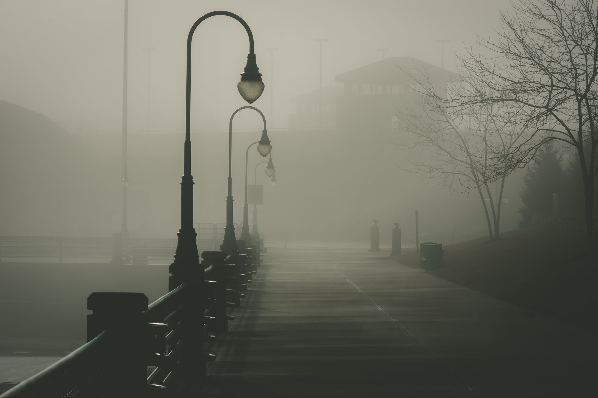 HD Pentax DA 55-300mm F4.0-5.8 ED WR sample photo. Deep fog photography