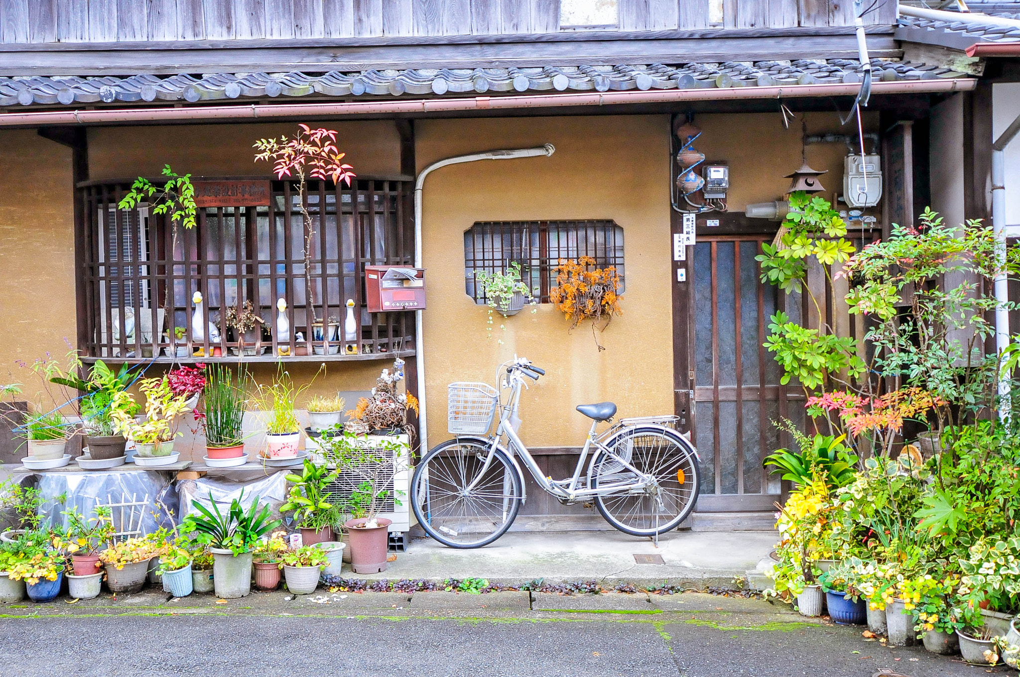 Nikon D300S sample photo. Kyoto charm photography